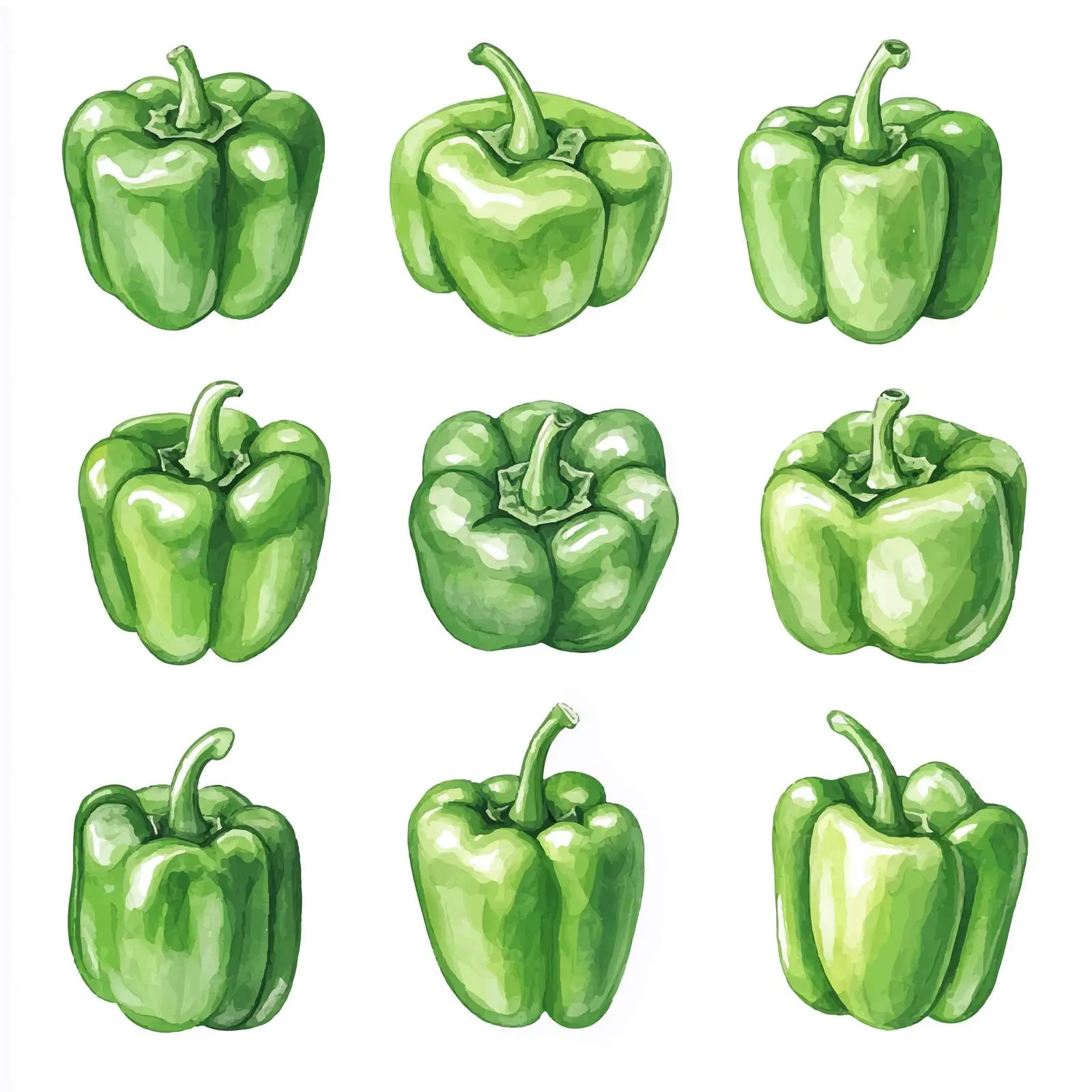 Fresh Organic Green Bell Peppers Watercolor Vector — free download from Dotvec