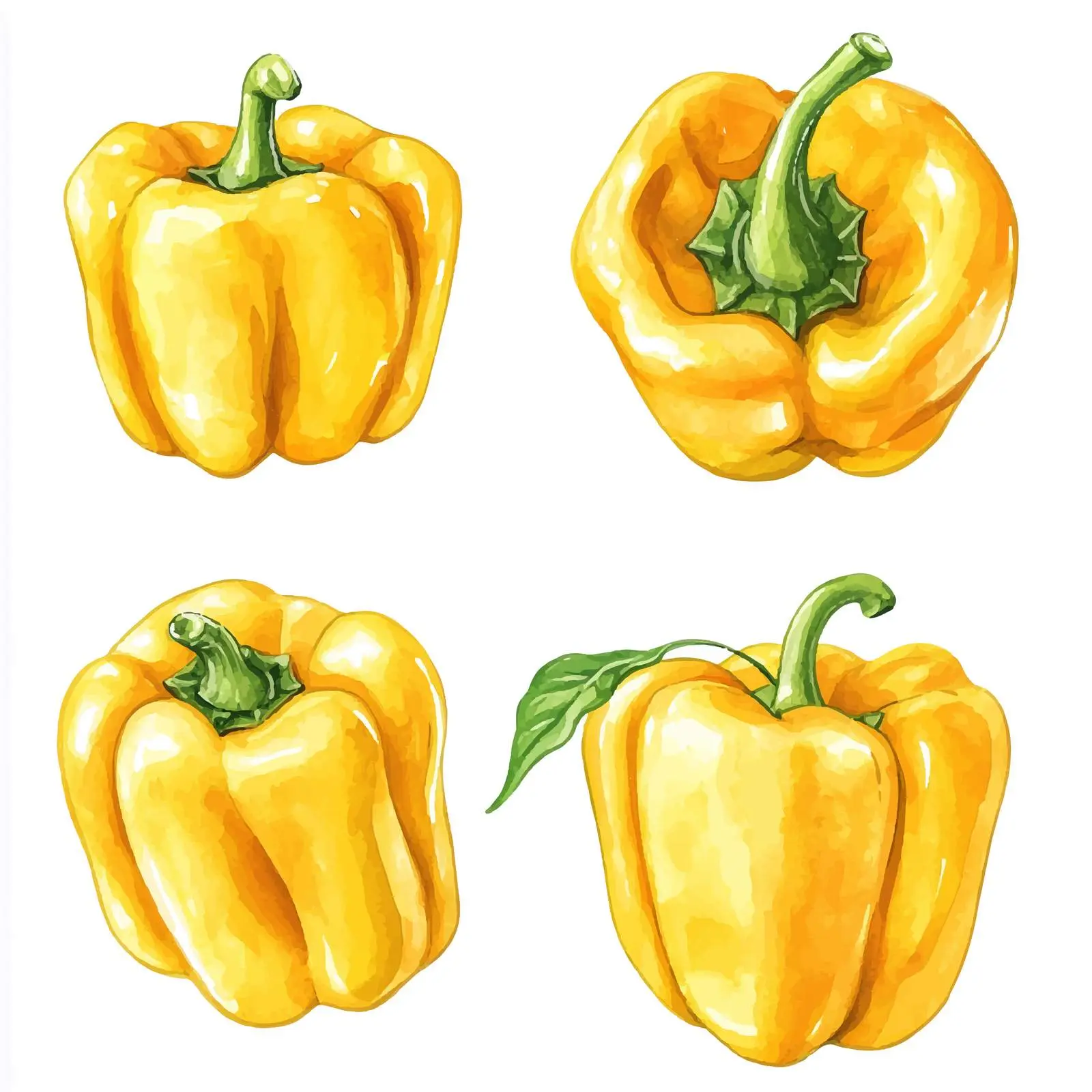 Fresh Organic Yellow Bell Peppers Vector Art — free download from Dotvec