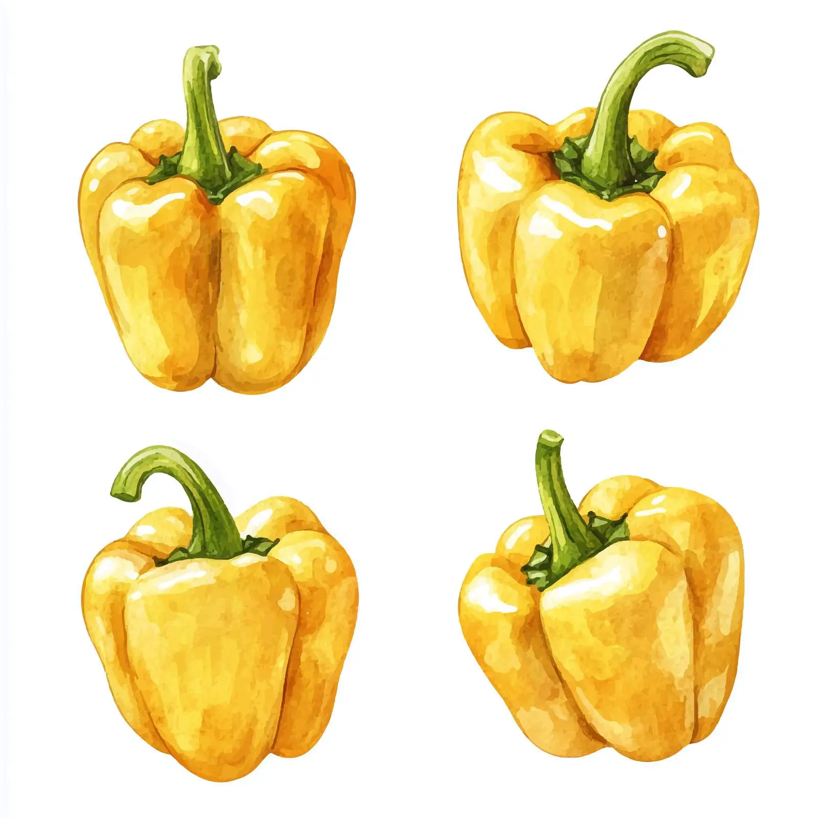 Fresh Organic Yellow Bell Peppers Vector Art — free download from Dotvec