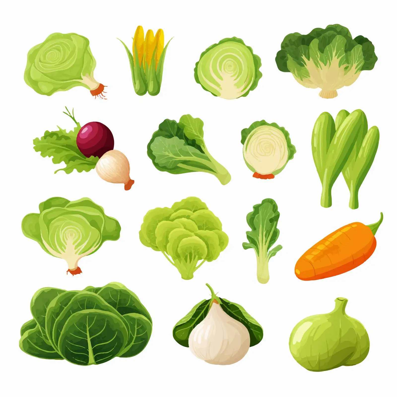Fresh Organic Vegetables Vector Set – free gourmet vegetables image from Dotvec