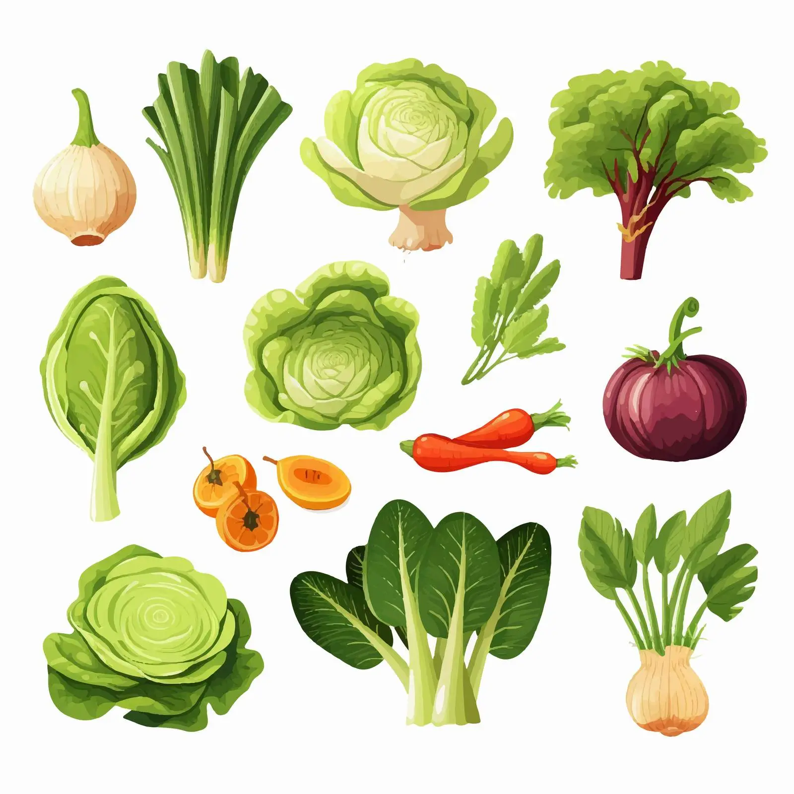 Fresh Organic Vegetables Vector Illustration — free download from Dotvec