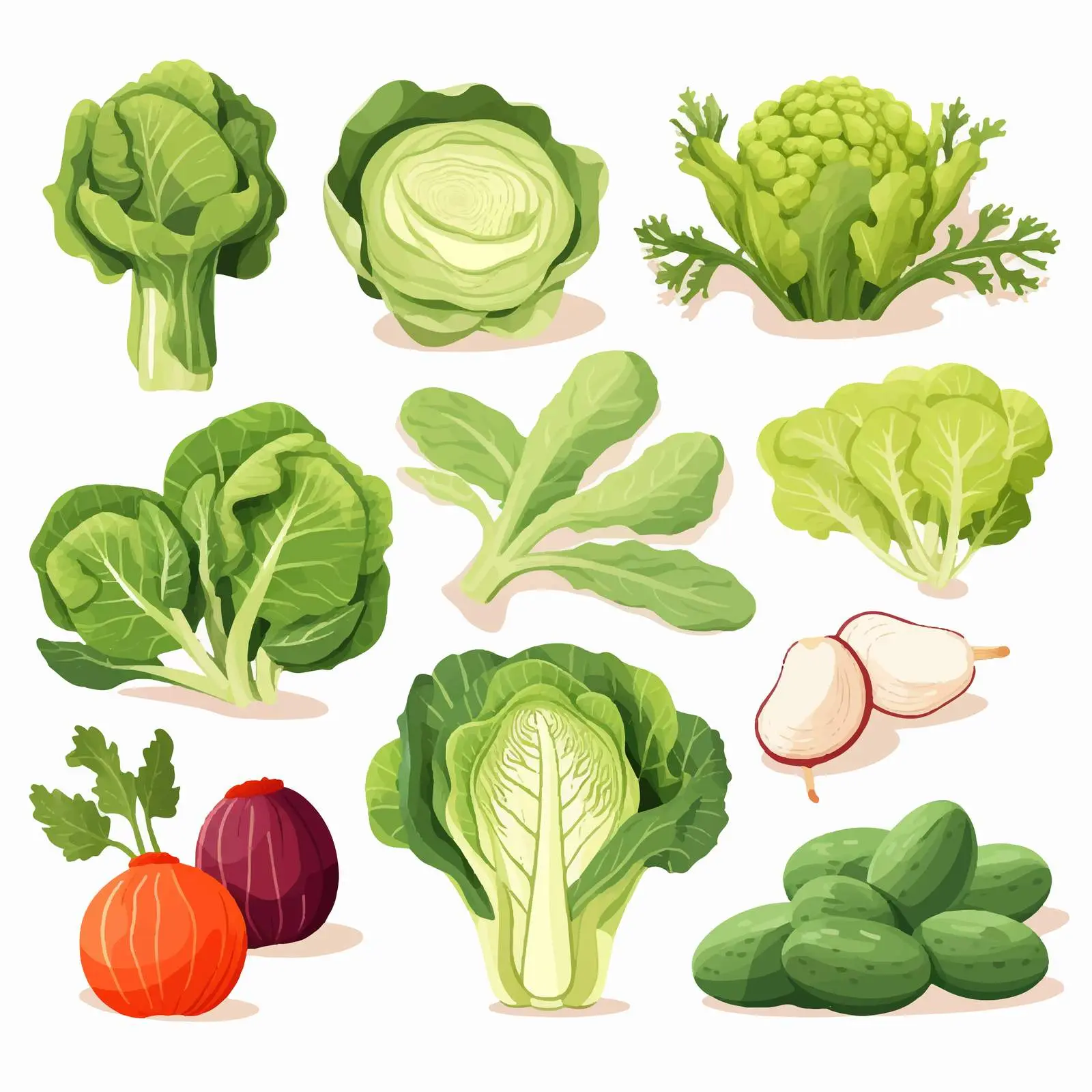 Fresh Organic Vegetables Set for Healthy Eating — free download from Dotvec