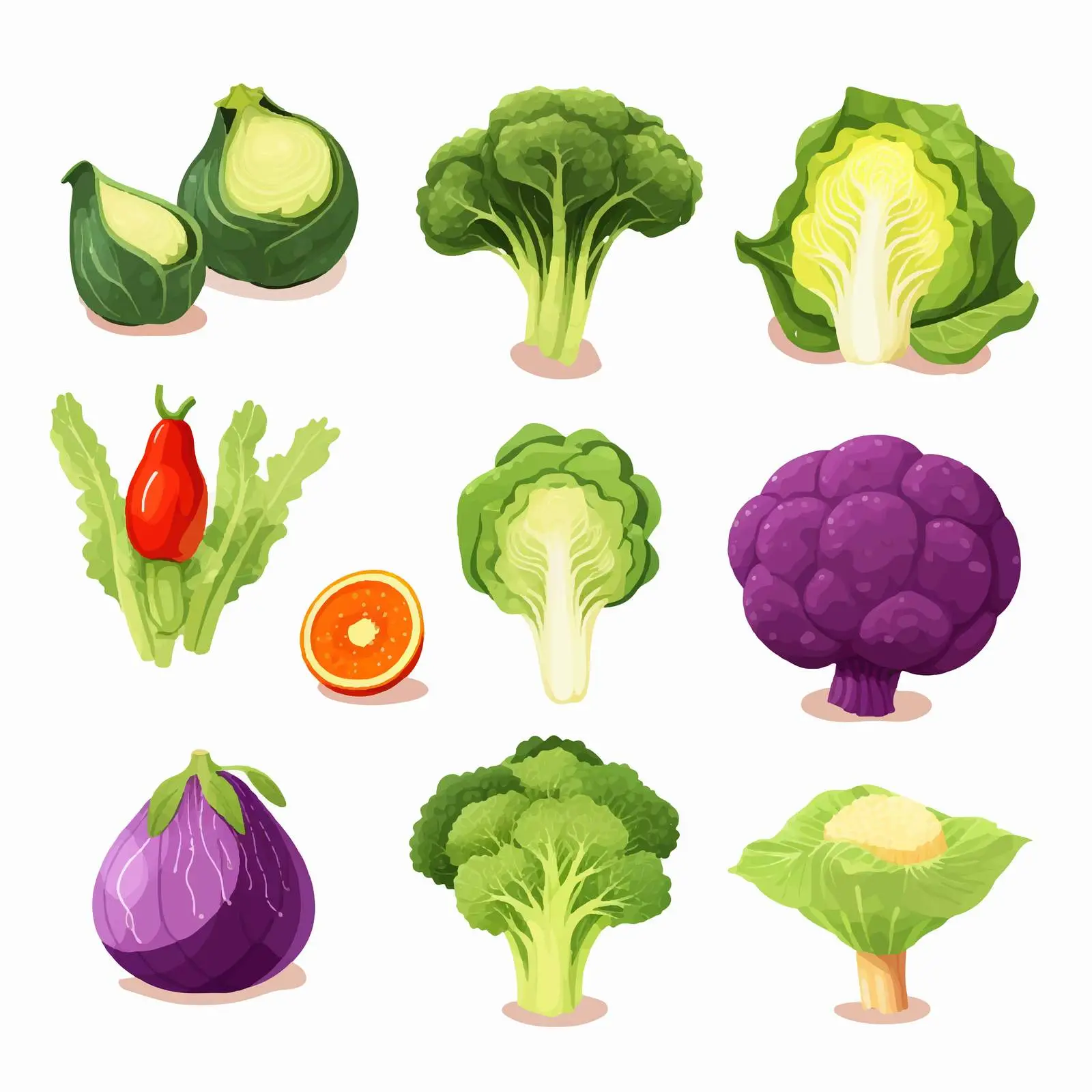 Colorful Vegetable Set: Red Cabbage and Asparagus — free download from Dotvec