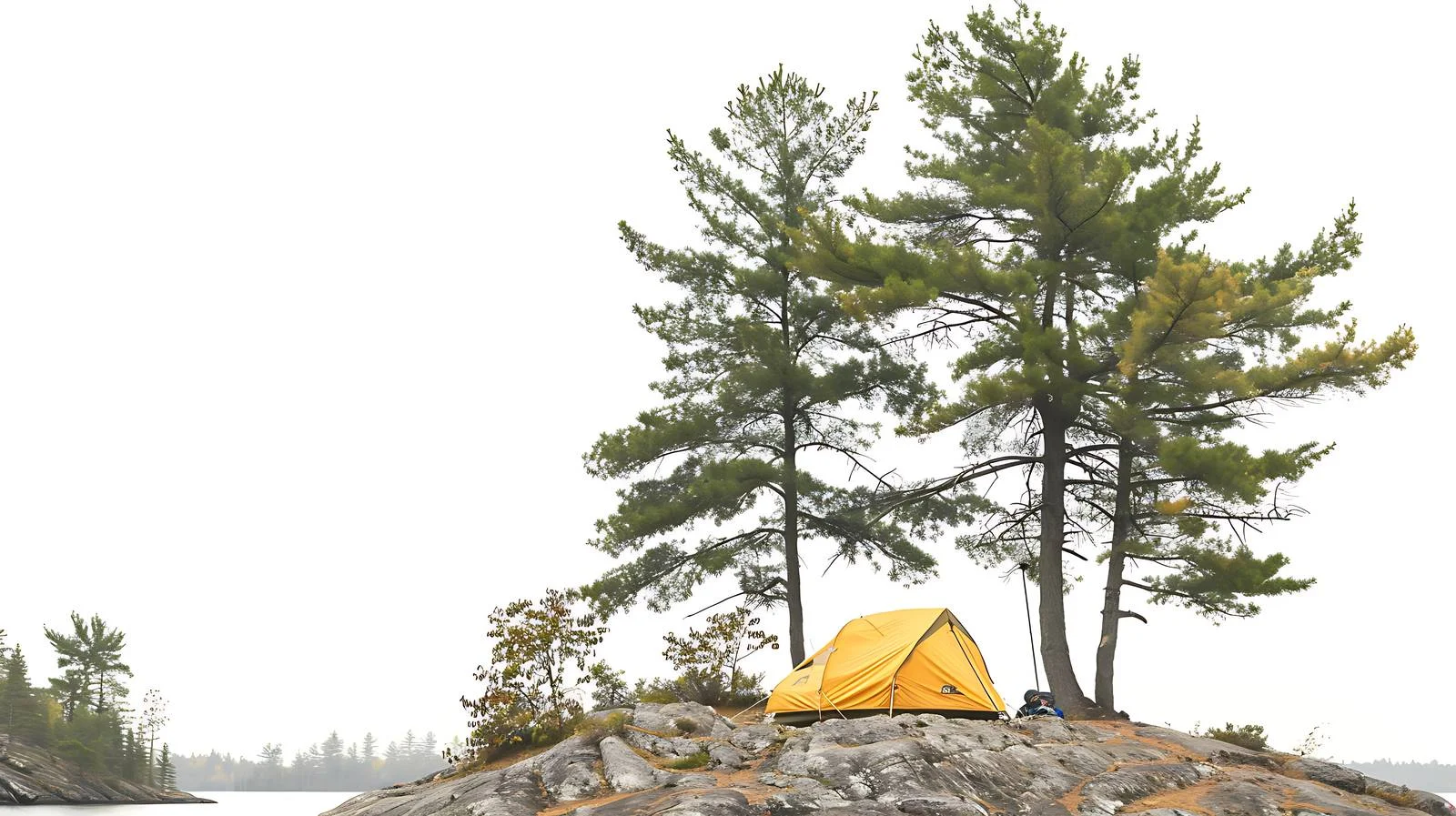 Serenity at Campsite with Majestic Pine — free download from Dotvec