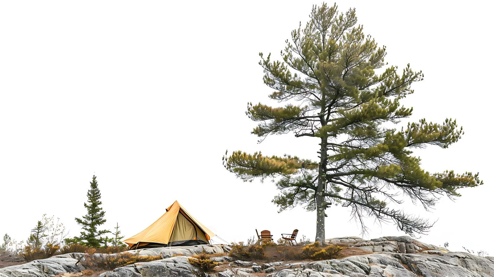 Serene Campsite with Majestic Pine Tree — free download from Dotvec