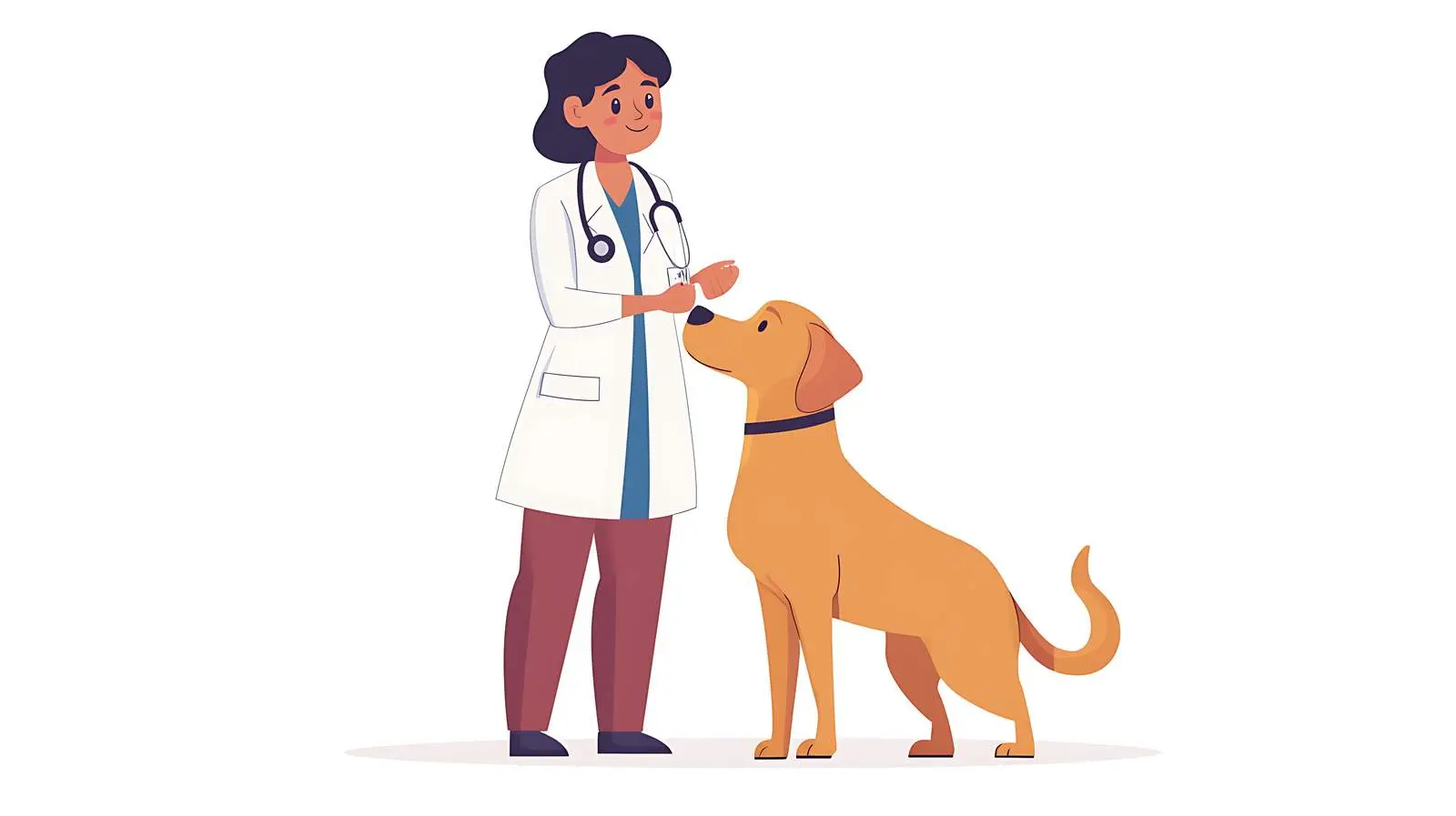 Veterinarian Measuring Dog's Body Temperature – free medical procedure image from Dotvec