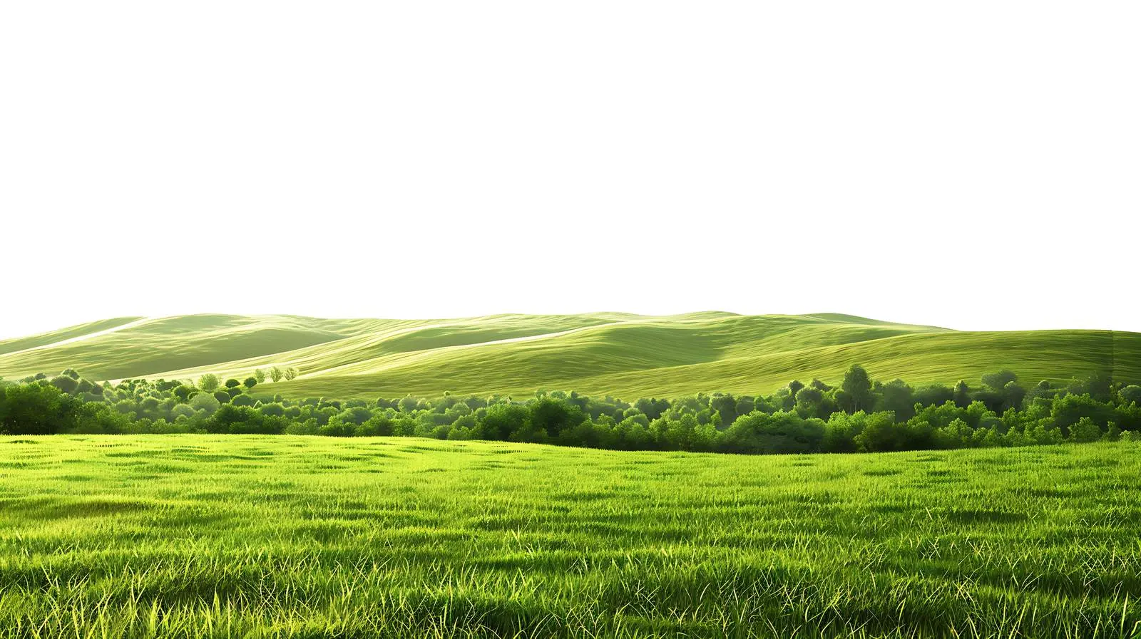 Scenic View of Grassy Field and Forest Hills – free clear sky image from Dotvec