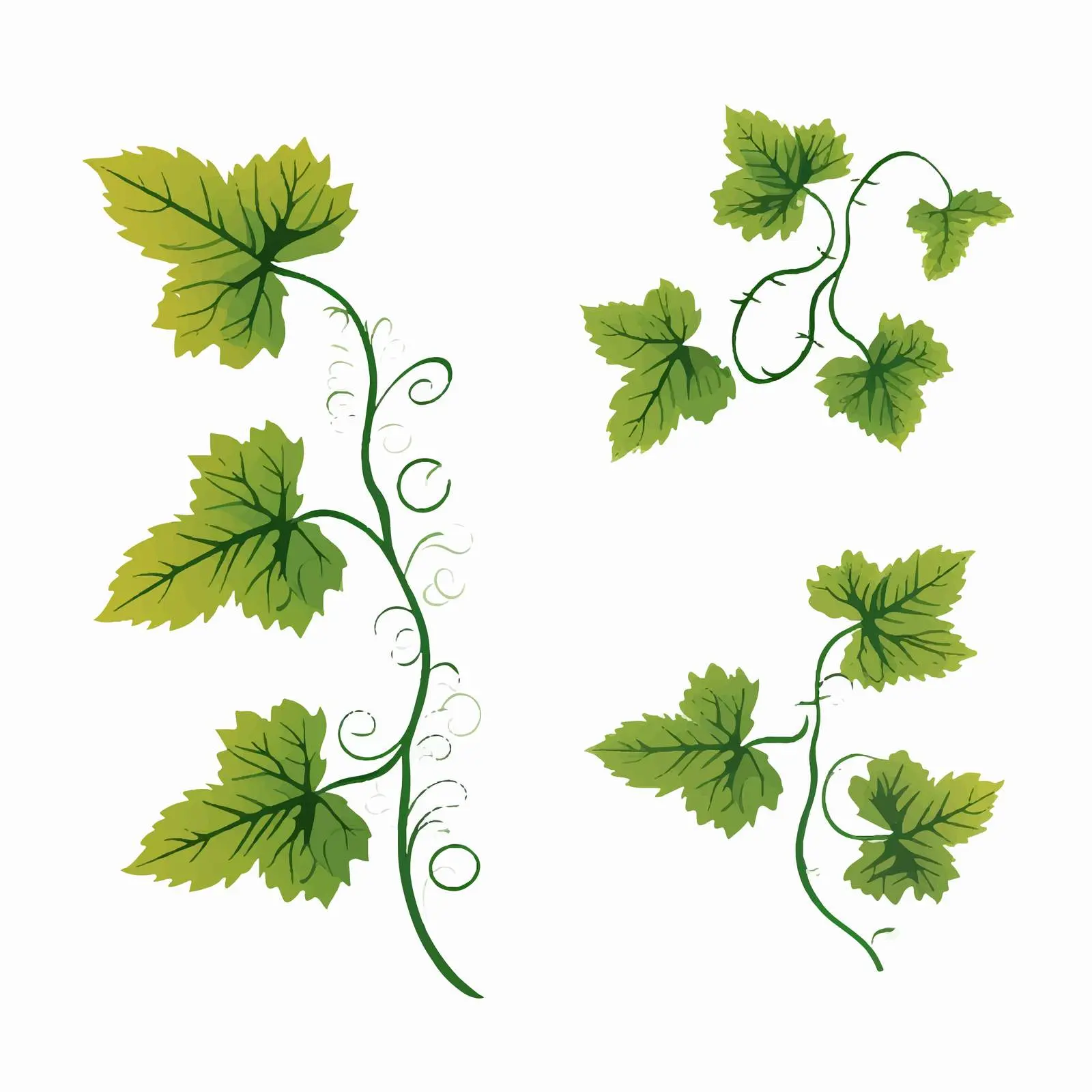 Vine Leaf Line Art Vector Illustration — free download from Dotvec
