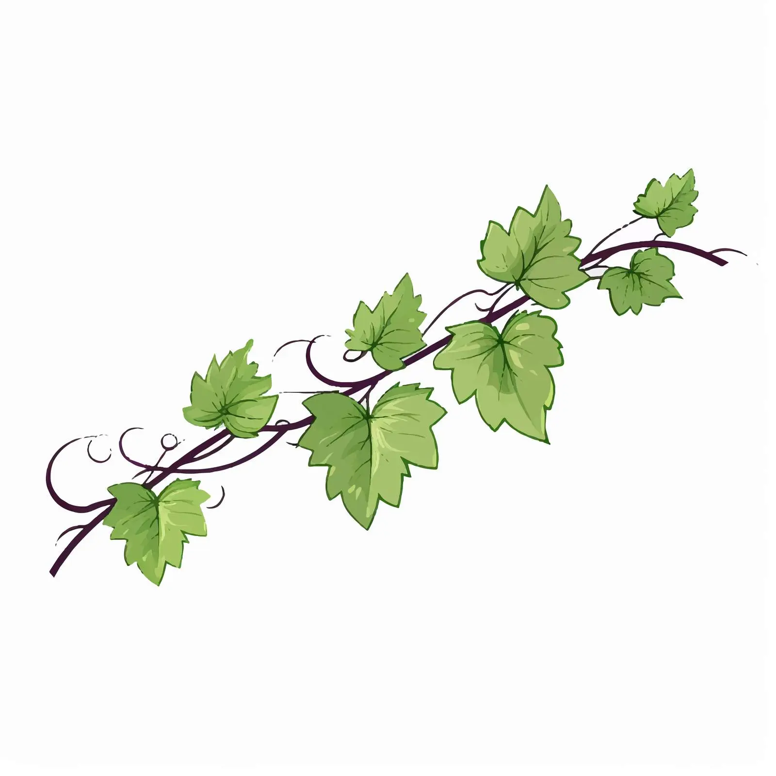 Vine Leaf Line Vector Illustration on White Background — free download from Dotvec