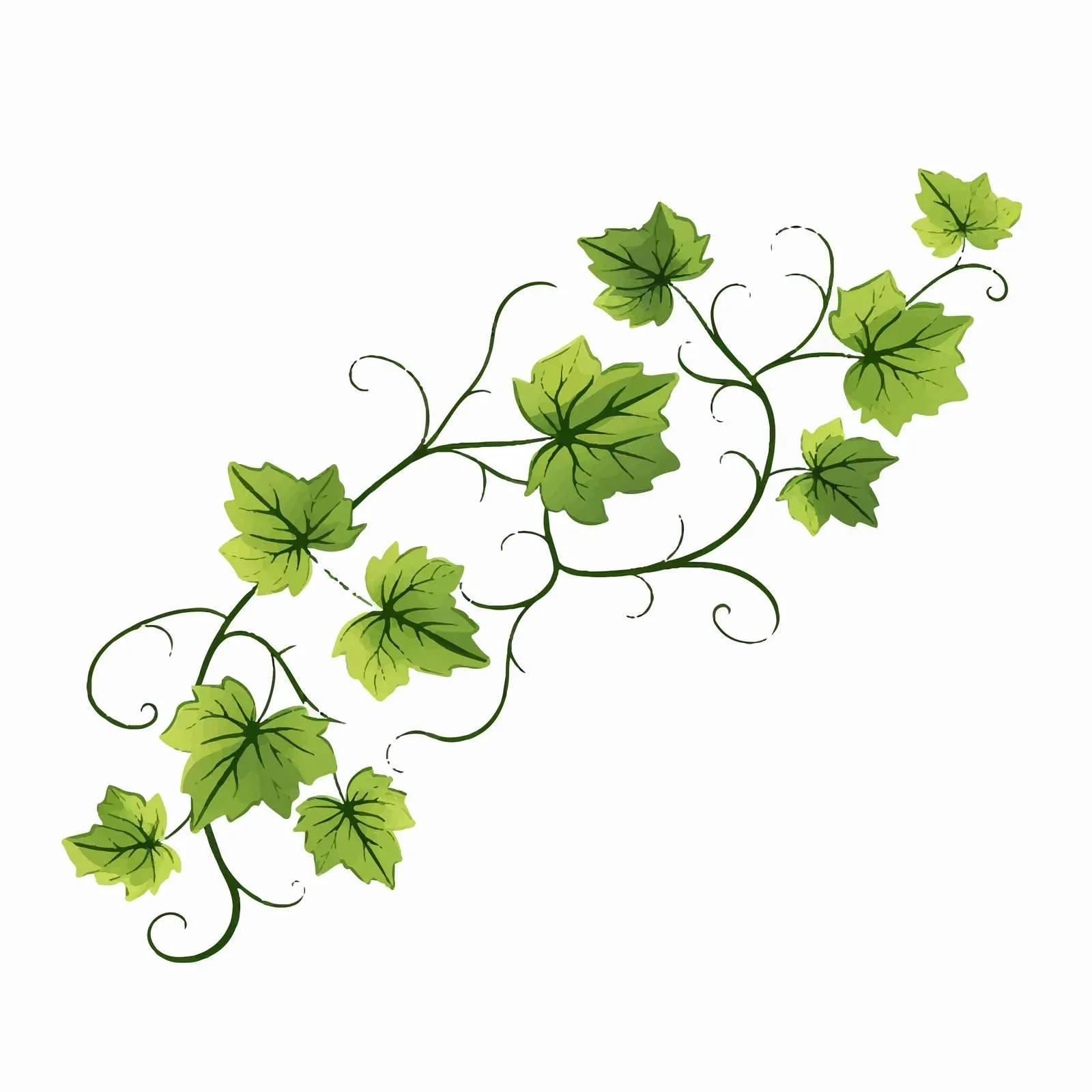 Vine Leaf Line Art Vector Illustration — free download from Dotvec