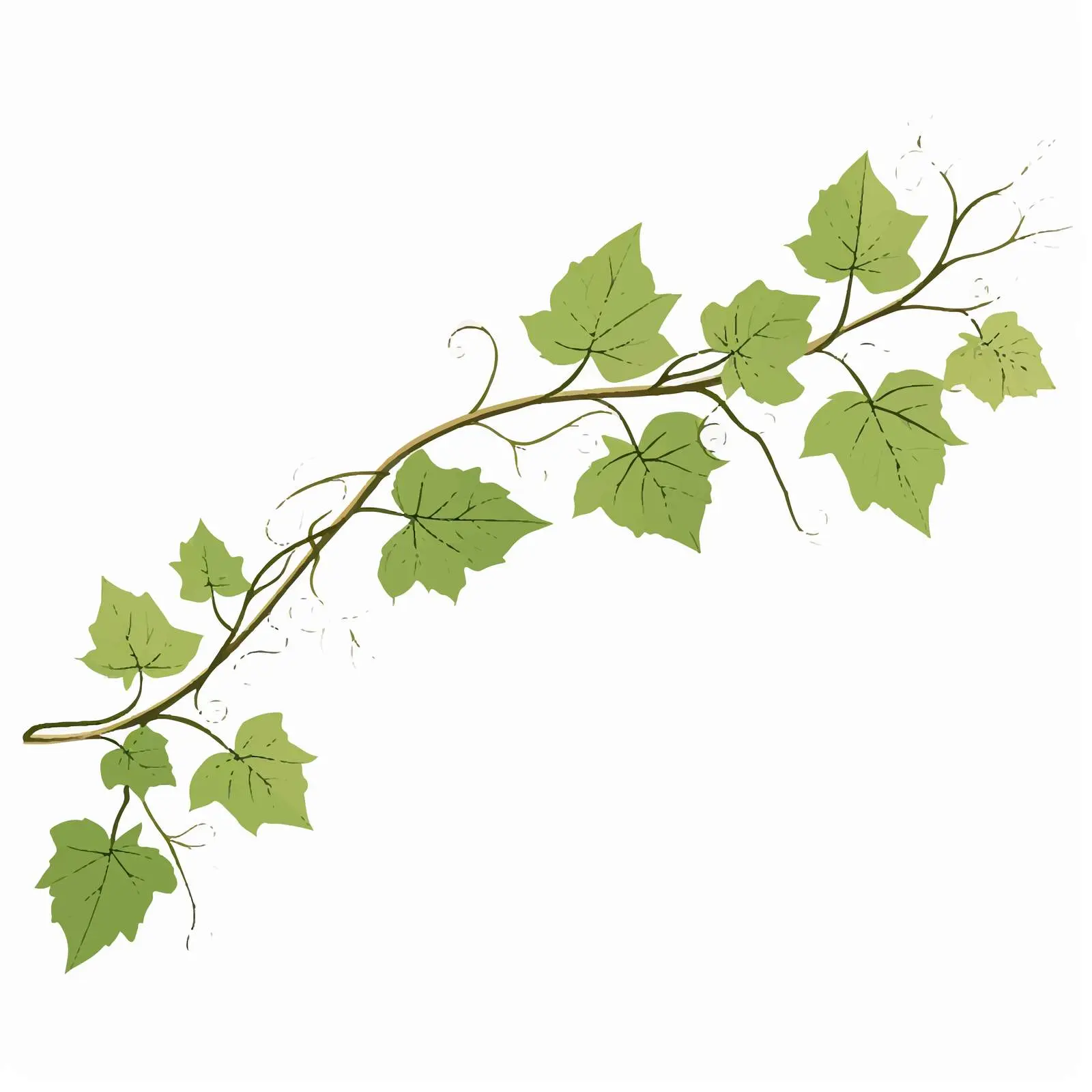 Vine Leaf Line Vector Illustration on White Background — free download from Dotvec