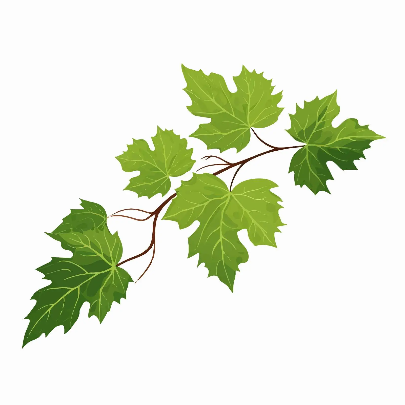 Vine Leaf Vector Illustration on White Background — free download from Dotvec