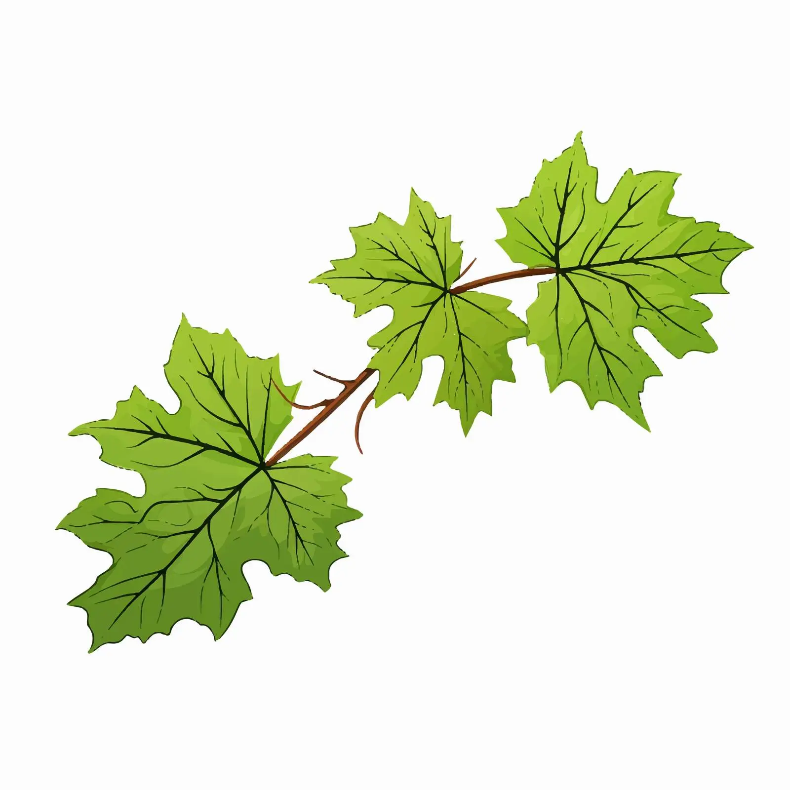 Vine Leaf Vector Illustration on White Background — free download from Dotvec