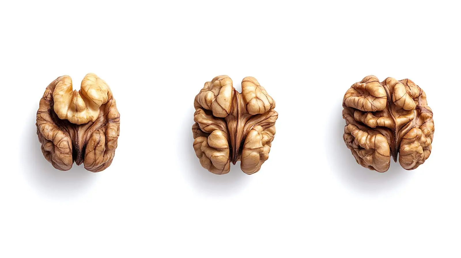 Premium Walnut Selection — free download from Dotvec