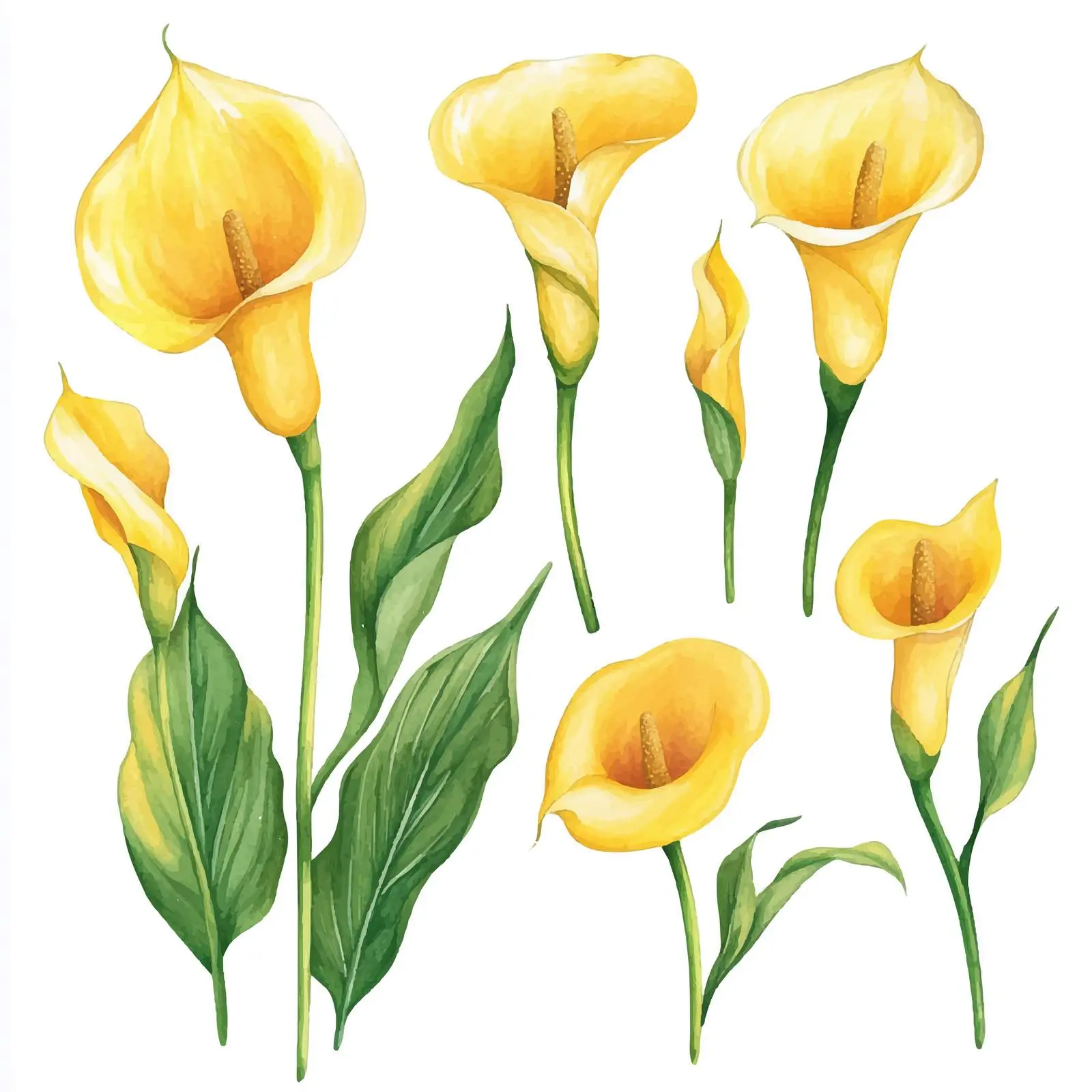 Watercolor Calla Lily Bridal Shower Invitation — free download from Dotvec