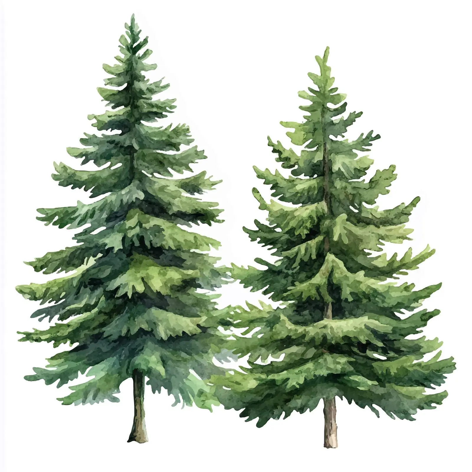 Watercolor Christmas Trees Illustration — free download from Dotvec