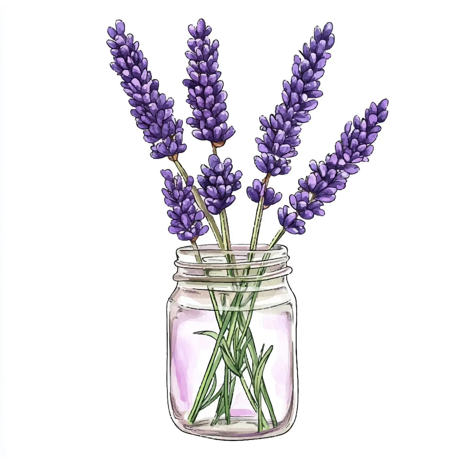 Hand-Drawn Watercolor Lavender Flower Sketch — free download from Dotvec