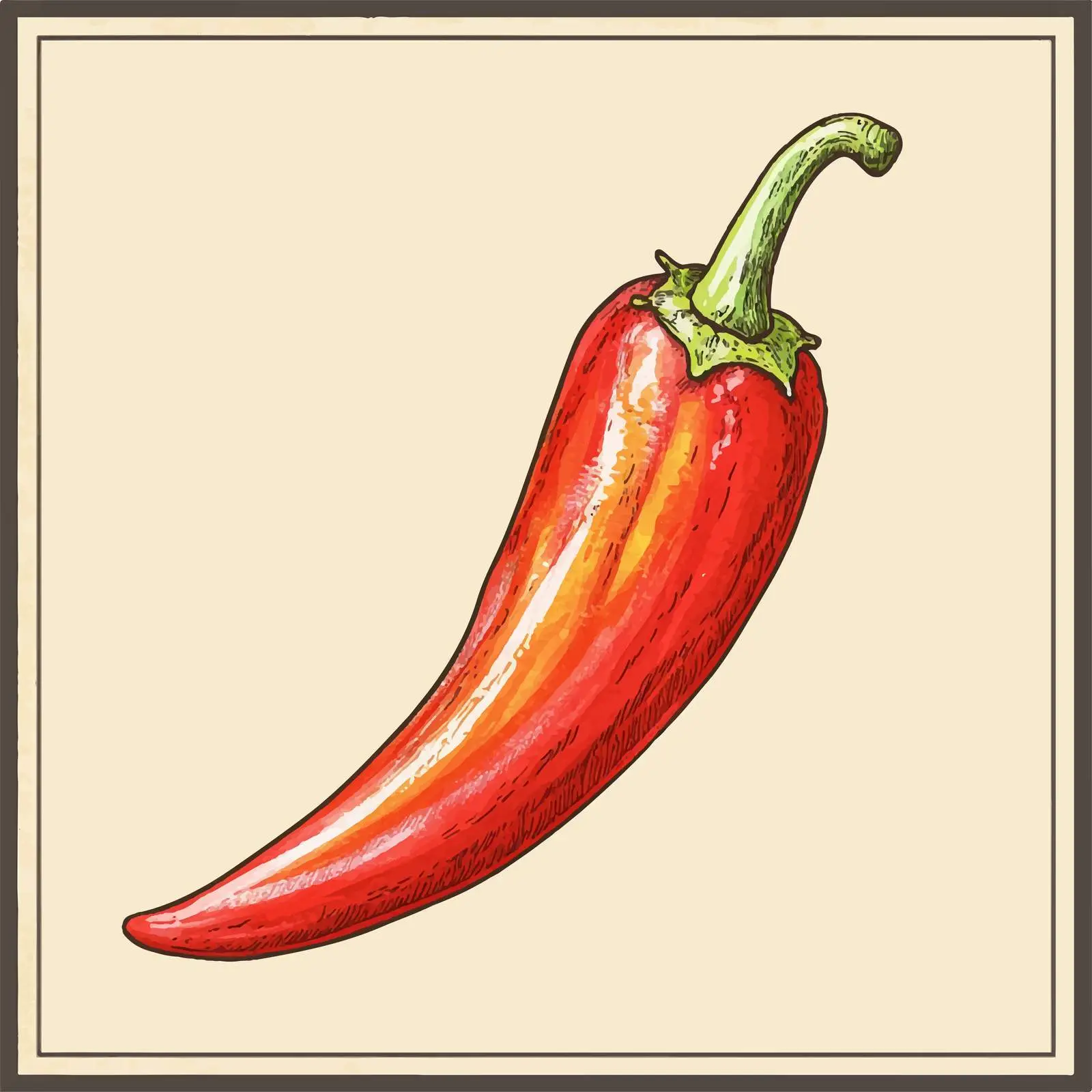 Colorful Watercolor Hand-Drawn Chili Pepper Sketch – free chili pepper image from Dotvec