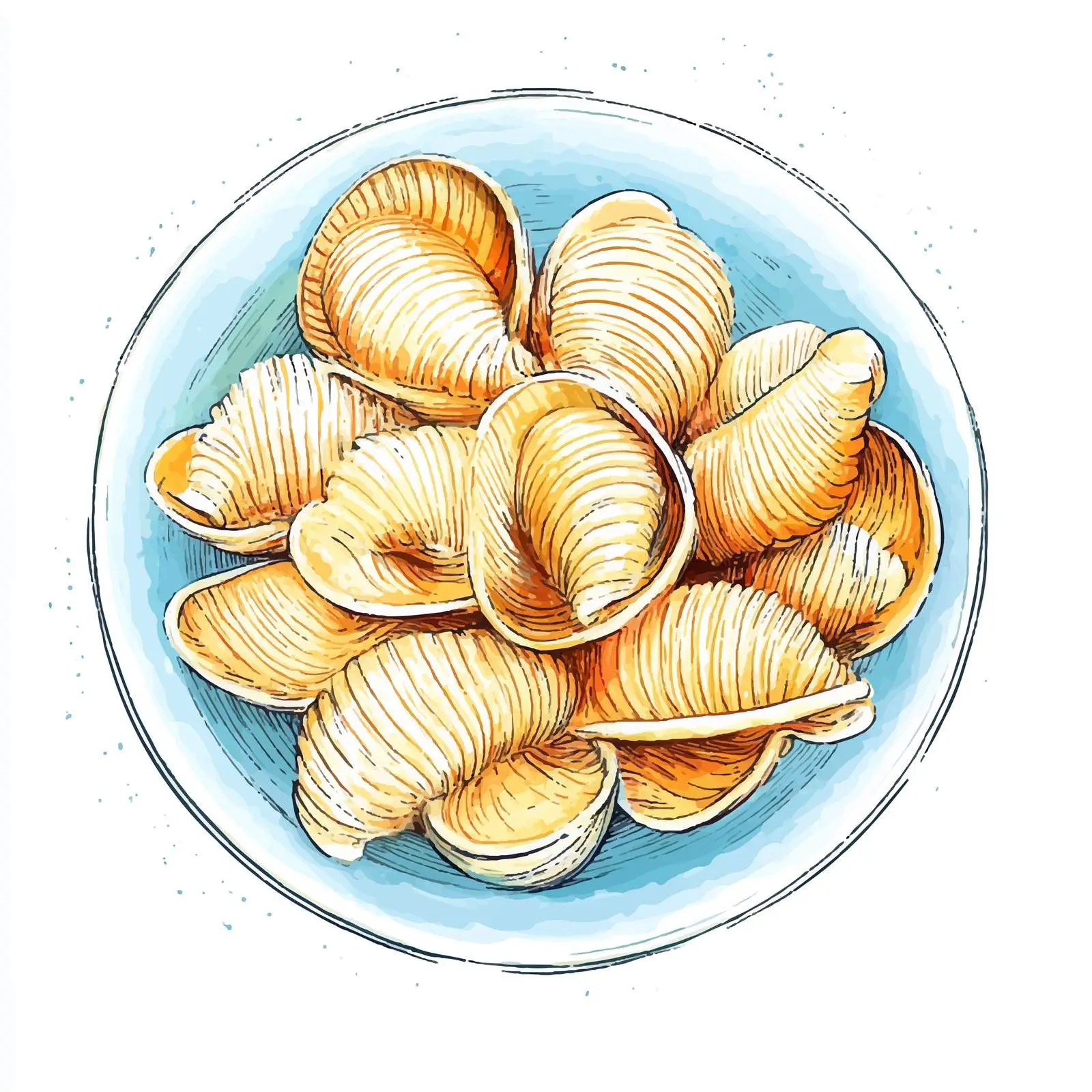 Watercolor Hand-Drawn Conchiglioni Rigati Sketch — free download from Dotvec