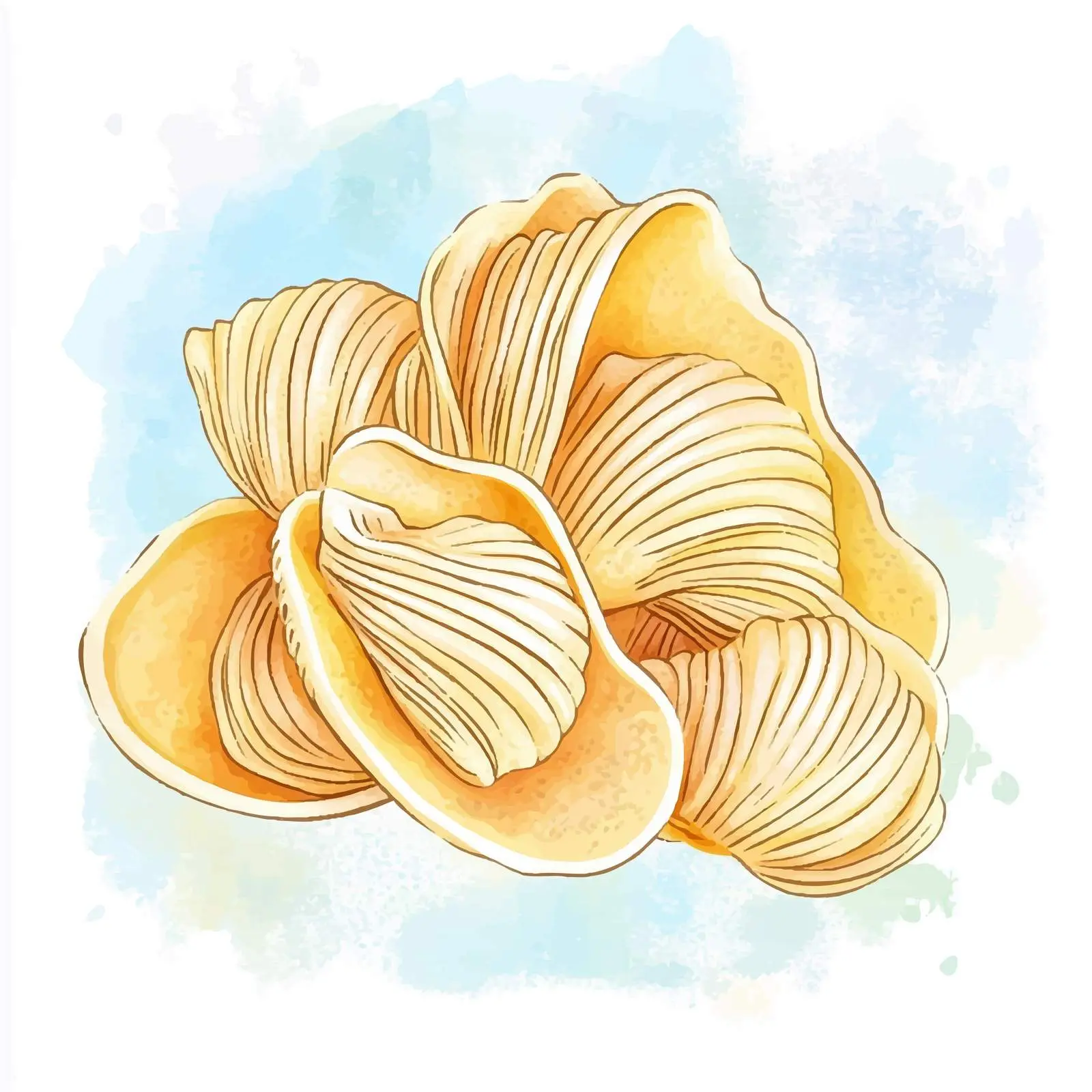 Colorful Hand-Drawn Conchiglioni Rigati Watercolor Sketch — free download from Dotvec