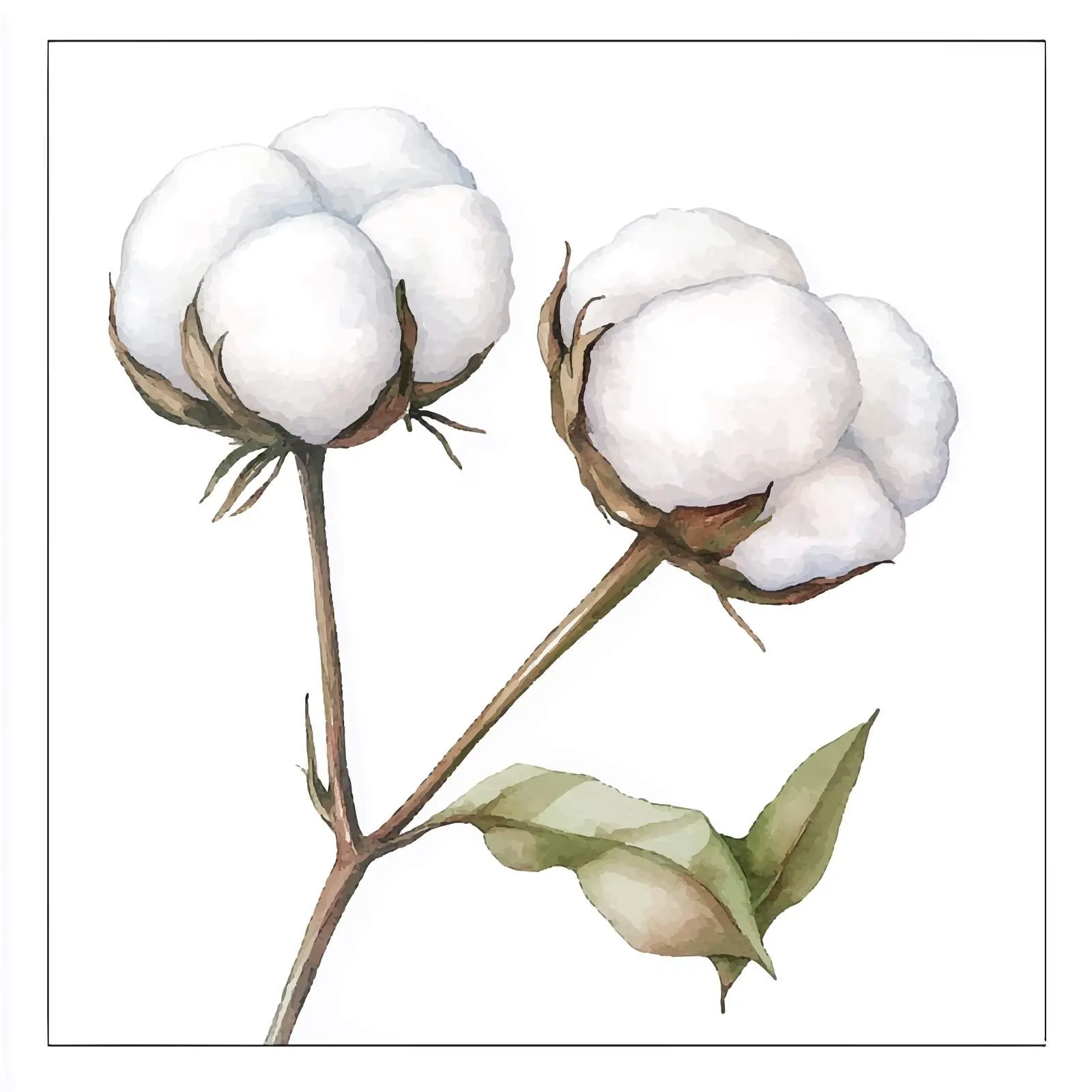 Colorful Hand-Drawn Cotton Buds Watercolor Illustration — free download from Dotvec