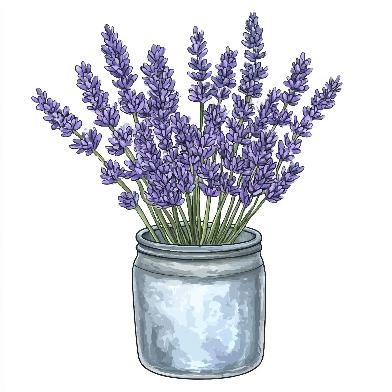 Colorful Hand-Drawn Lavender Flower Watercolor — free download from Dotvec