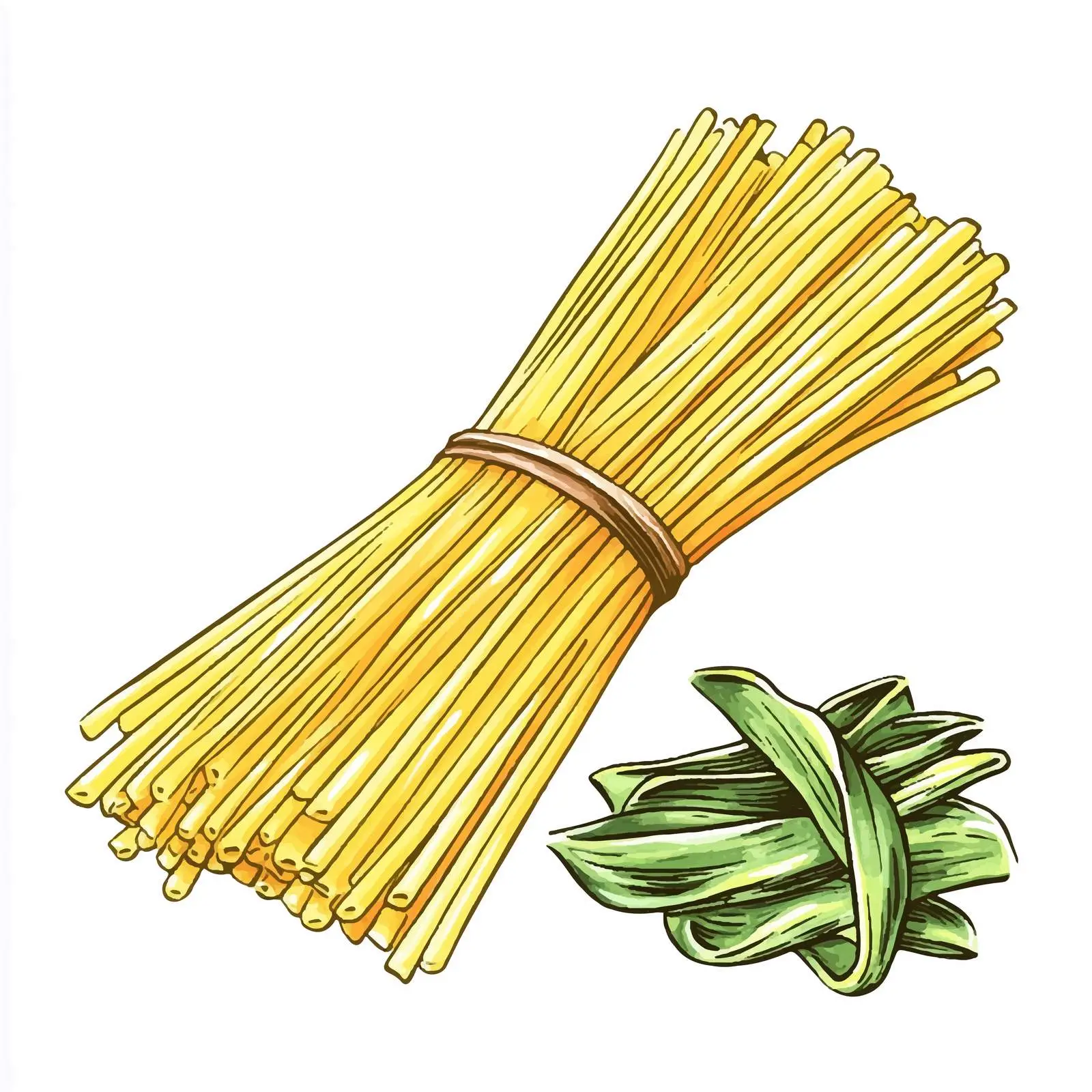 Colorful Hand-Drawn Watercolor Pasta Sketch — free download from Dotvec