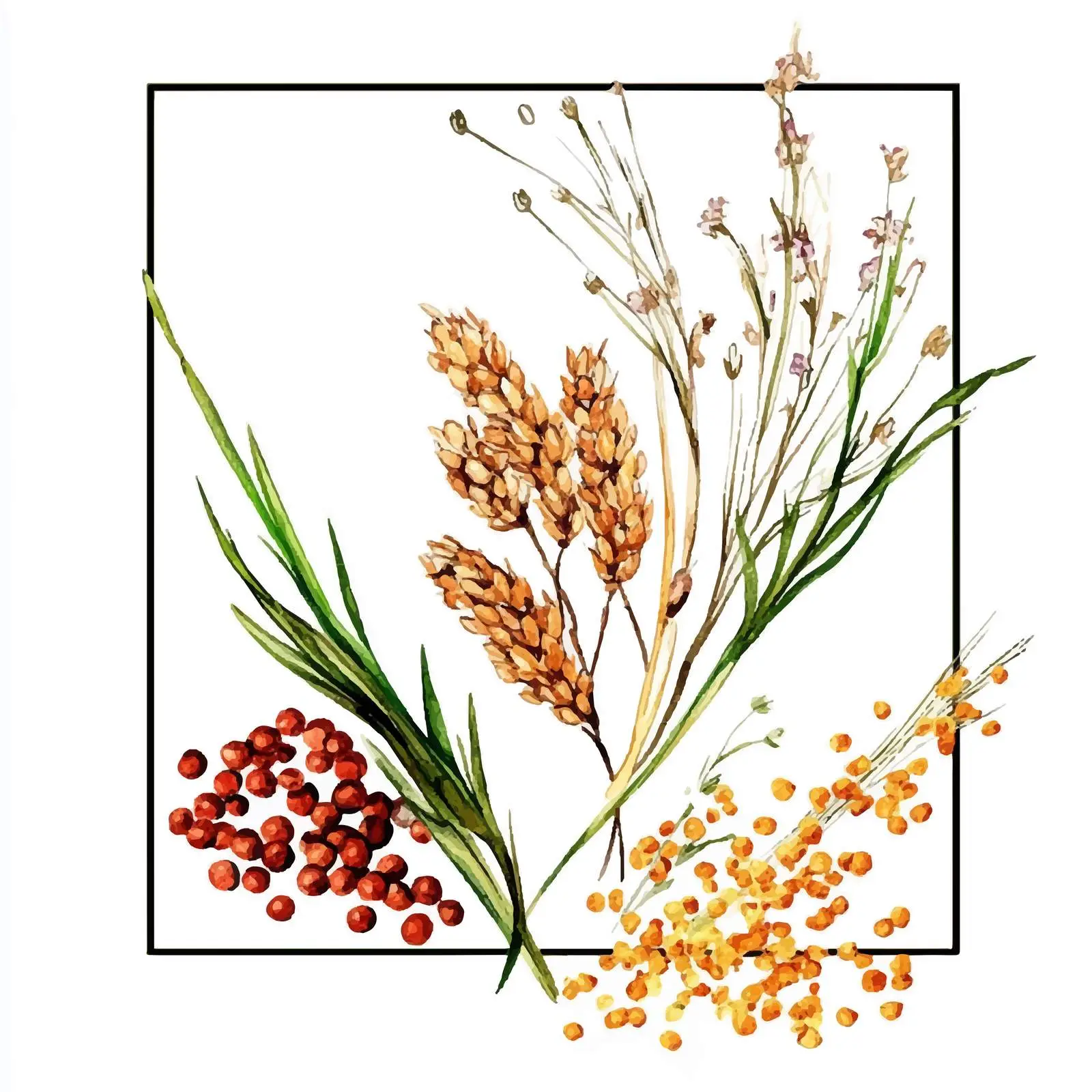 Colorful Hand-Drawn Watercolor Sesame Sketch — free download from Dotvec