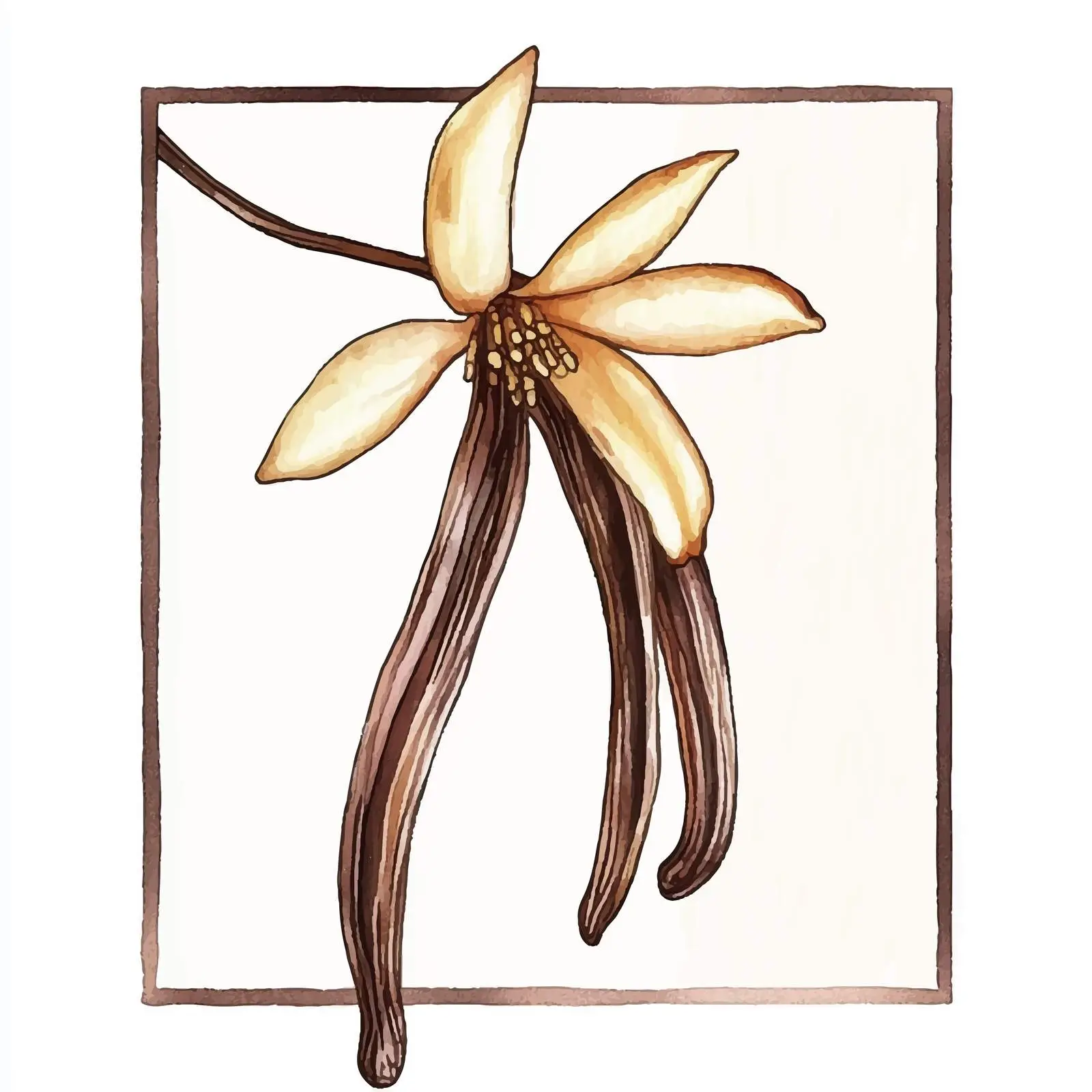 Colorful Hand-Drawn Watercolor Vanilla Sketch — free download from Dotvec