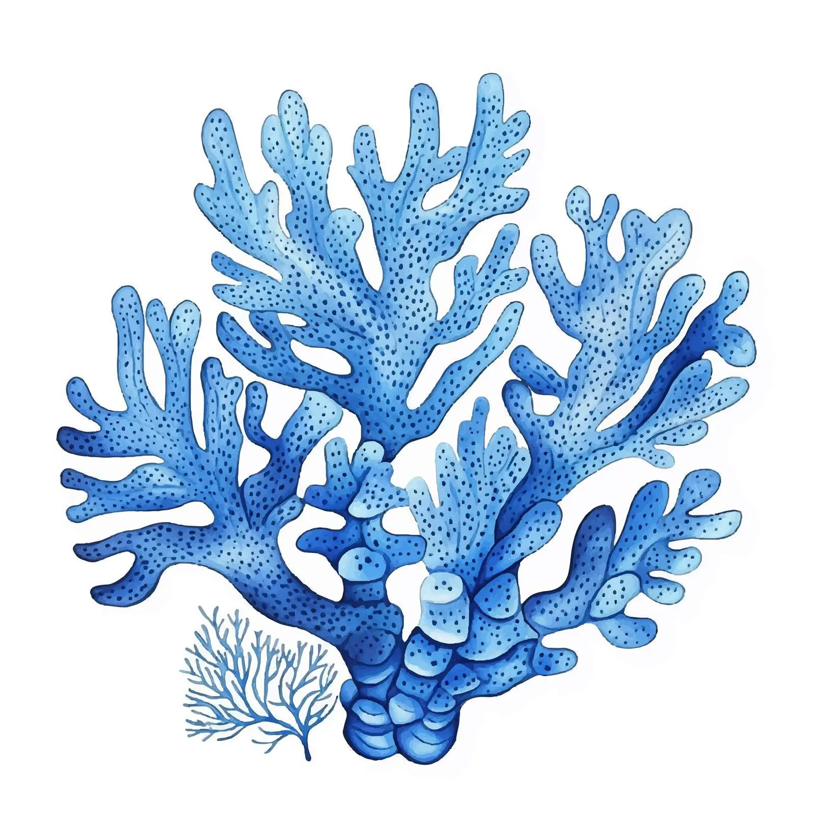Colorful Watercolor Sketch of Blue Coral — free download from Dotvec