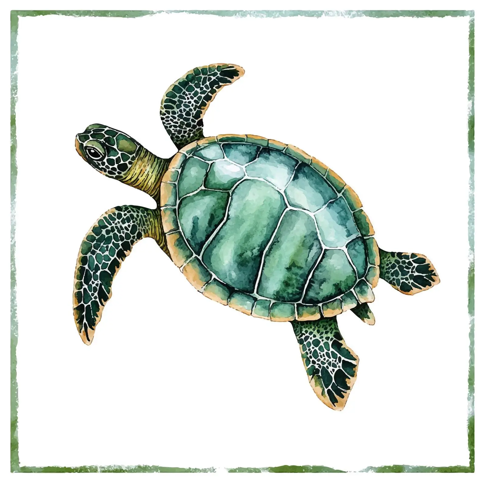 Colorful Watercolor Turtle Sketch Vectors — free download from Dotvec