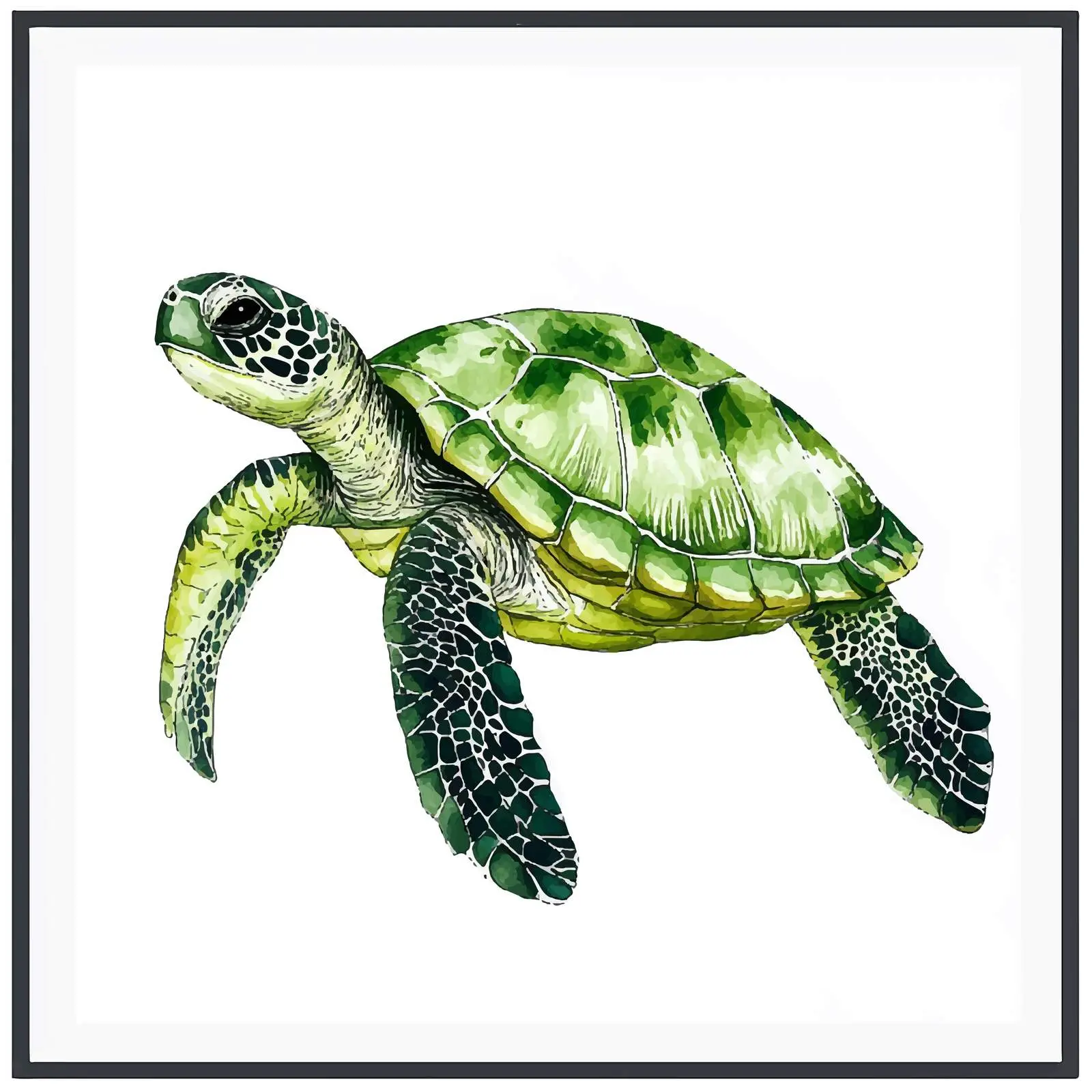 Colorful Watercolor Sketch of Small Green Turtle — free download from Dotvec