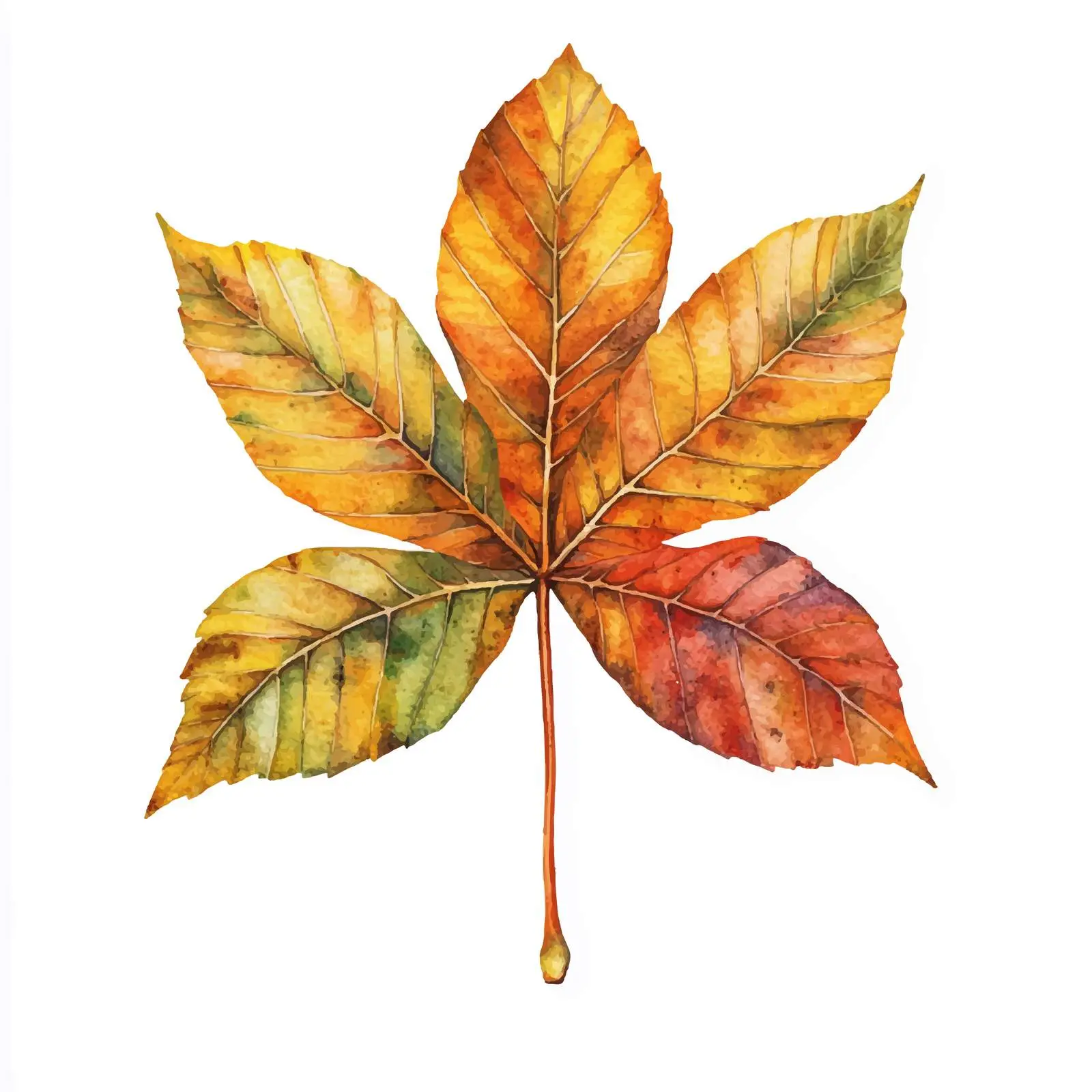 Watercolor Horse Chestnut Leaf in Autumn — free download from Dotvec