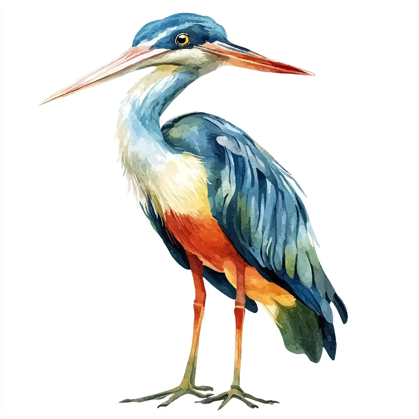 Watercolor Exotic Bird Illustration on White Background — free download from Dotvec