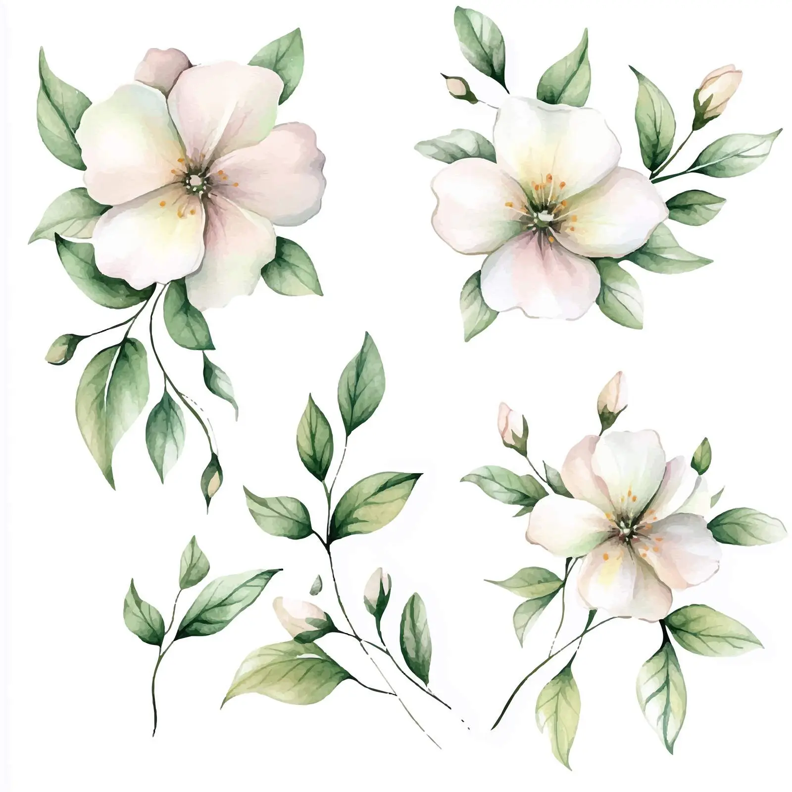 Watercolor Floral Illustration Set with Green Leaves — free download from Dotvec