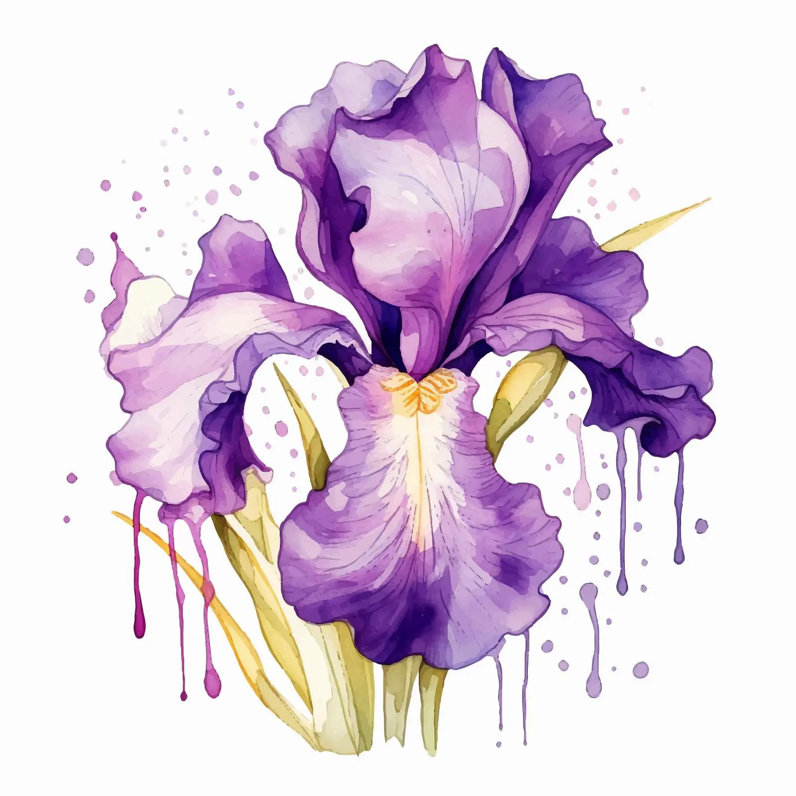 Purple Iris Watercolor Floral Art – free splashes image from Dotvec