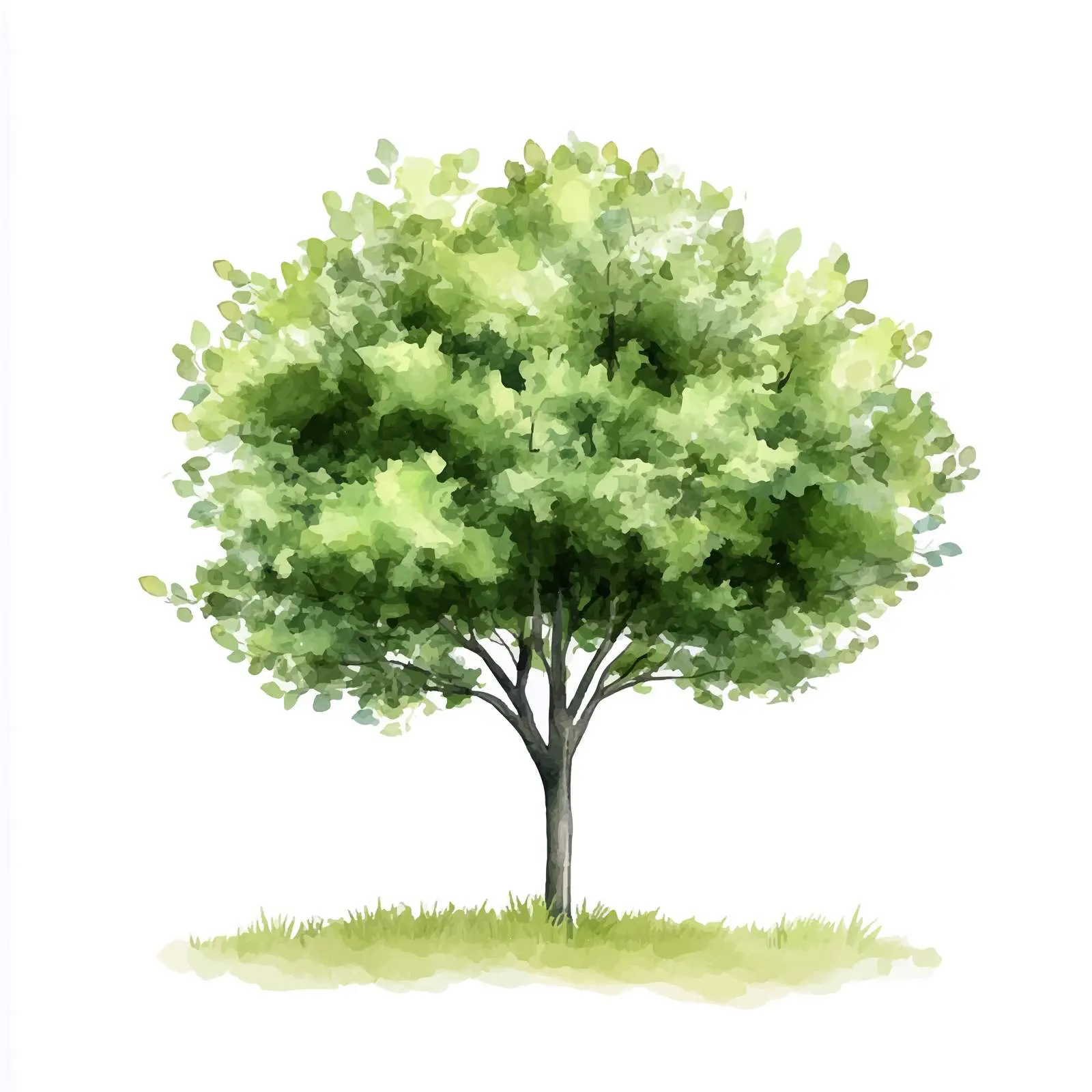Isolated Watercolor Green Tree on White Background — free download from Dotvec