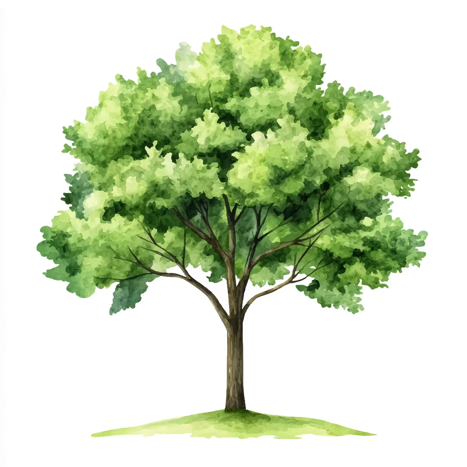 Isolated Green Watercolor Tree on White Background — free download from Dotvec
