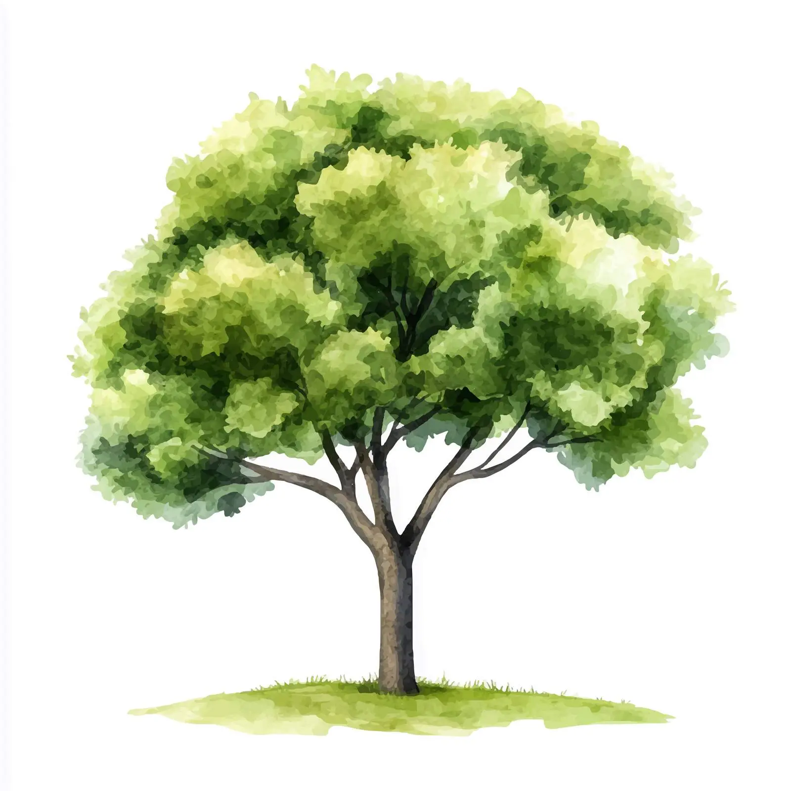 Isolated Watercolor Green Tree on White Background — free download from Dotvec