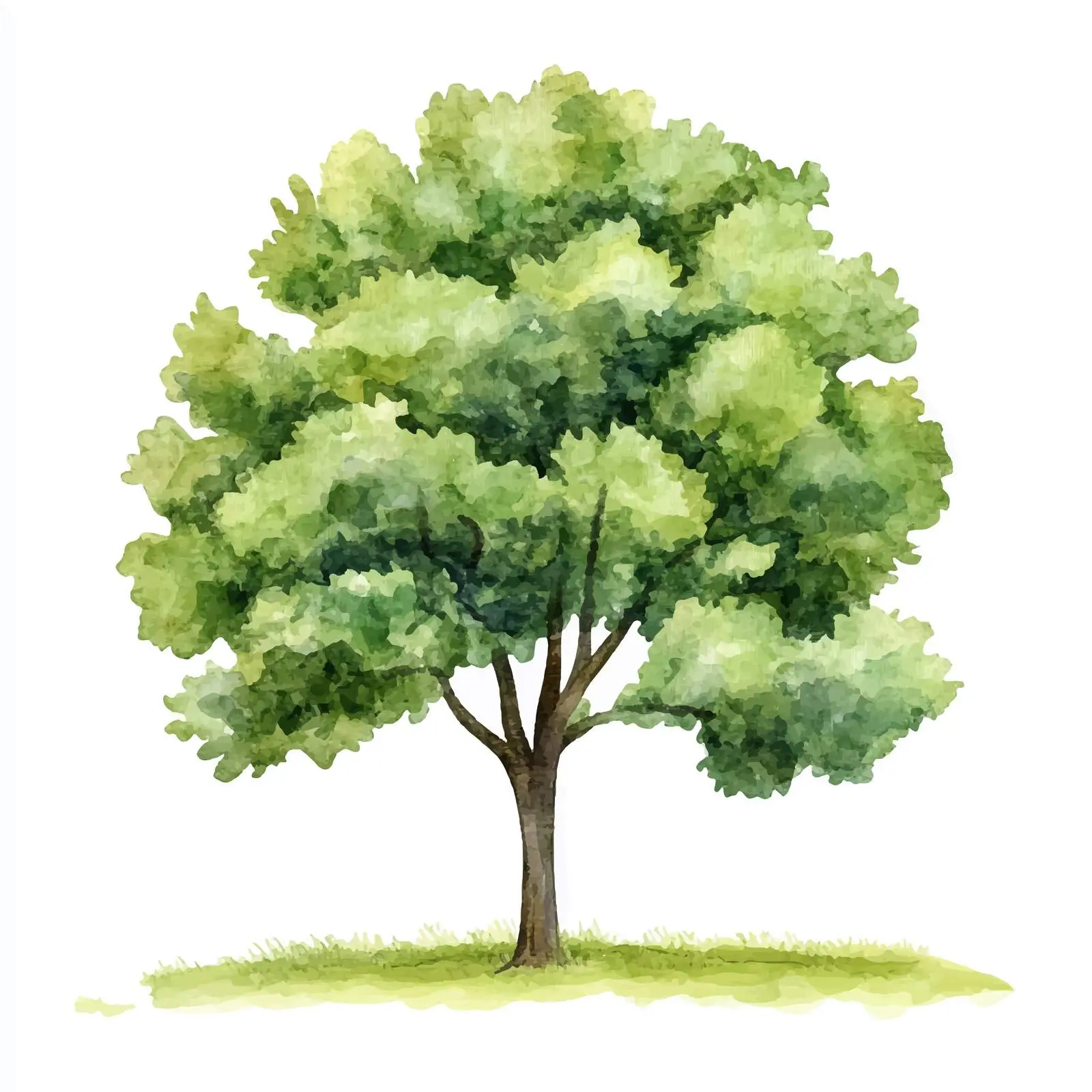 Isolated Watercolor Green Tree on White Background — free download from Dotvec