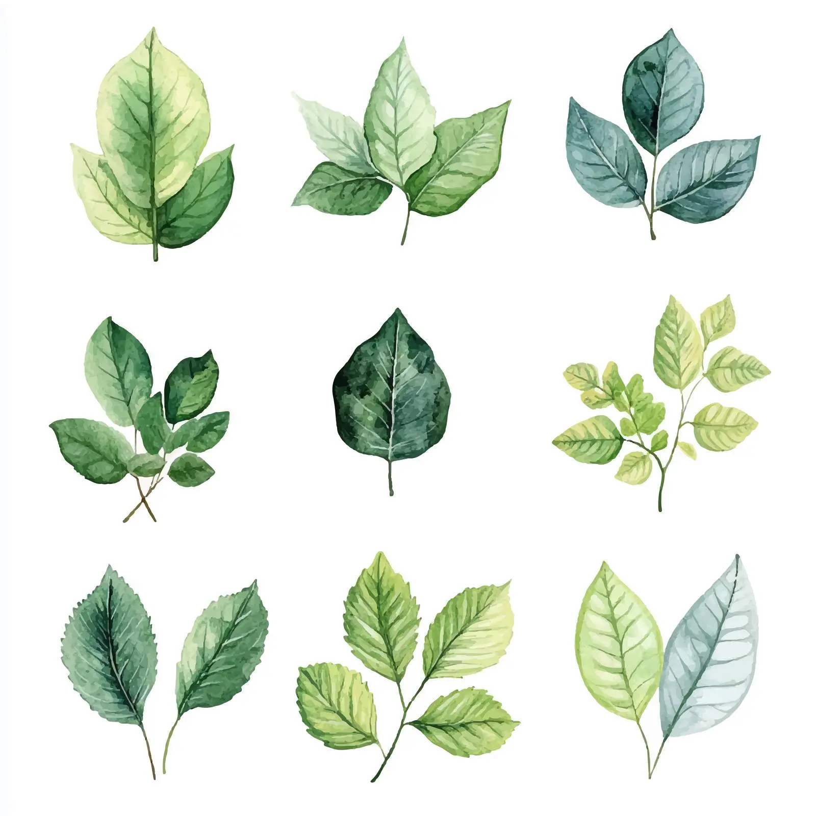 Watercolor Collection of Various Leaves – free budding image from Dotvec
