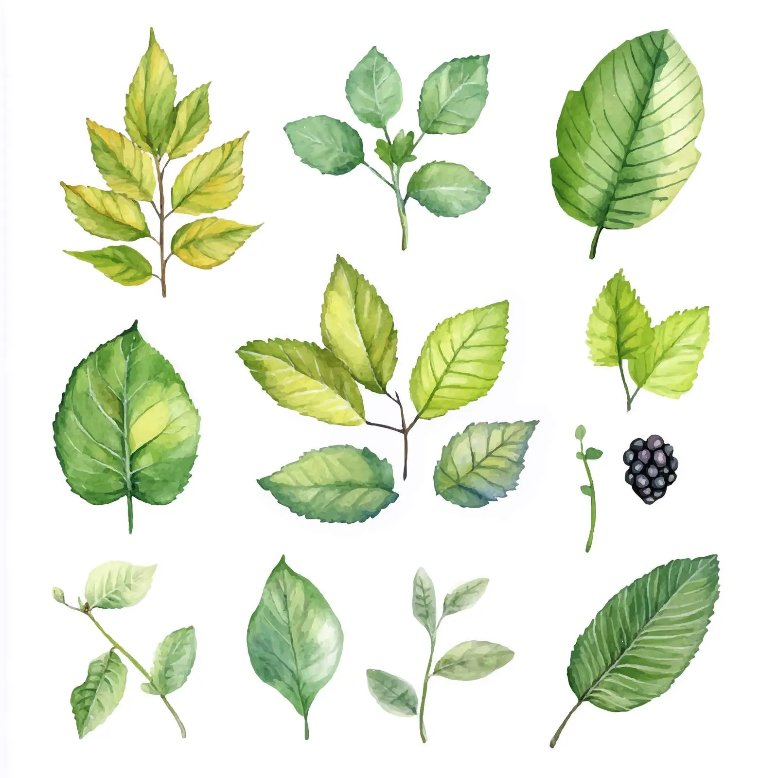 Watercolor Collection of Diverse Leaves — free download from Dotvec