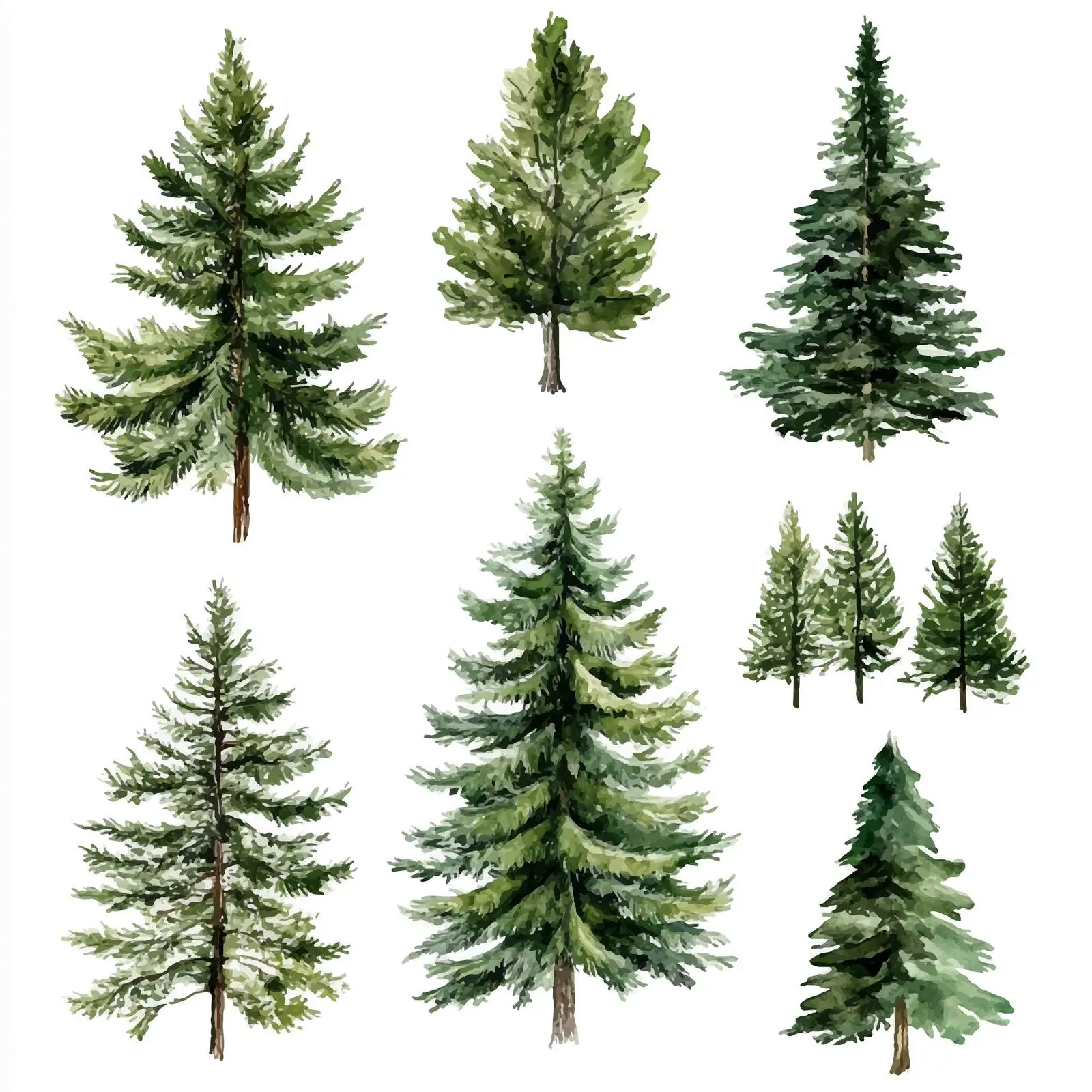 Watercolor Pine Needle Clipart Collection — free download from Dotvec