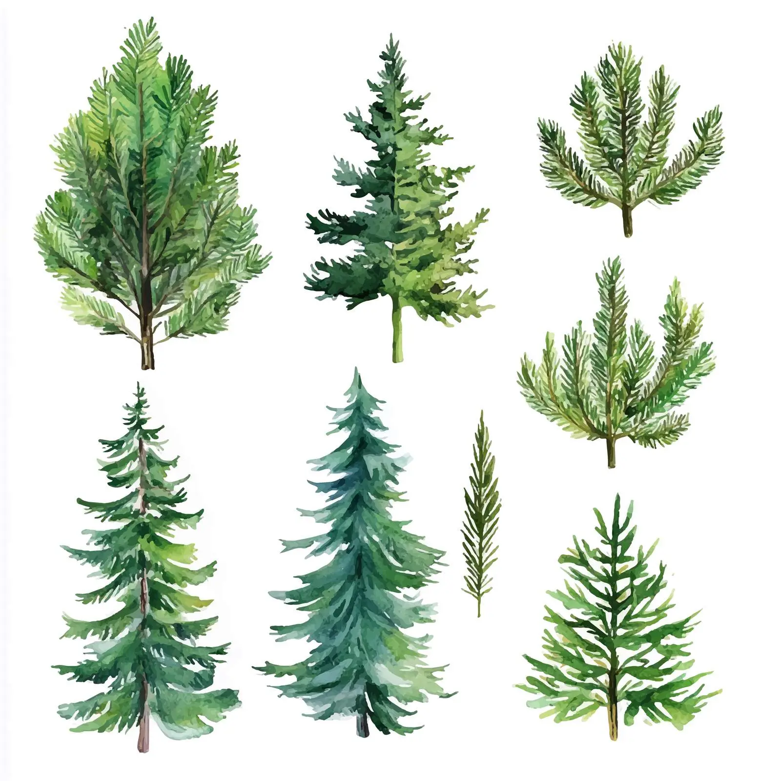 Watercolor Pine Clipart Collection on White Background — free download from Dotvec