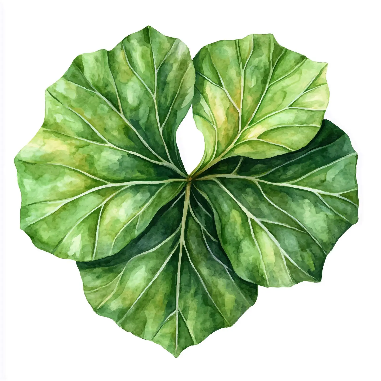 Watercolor Green Pumpkin Leaves Illustration — free download from Dotvec