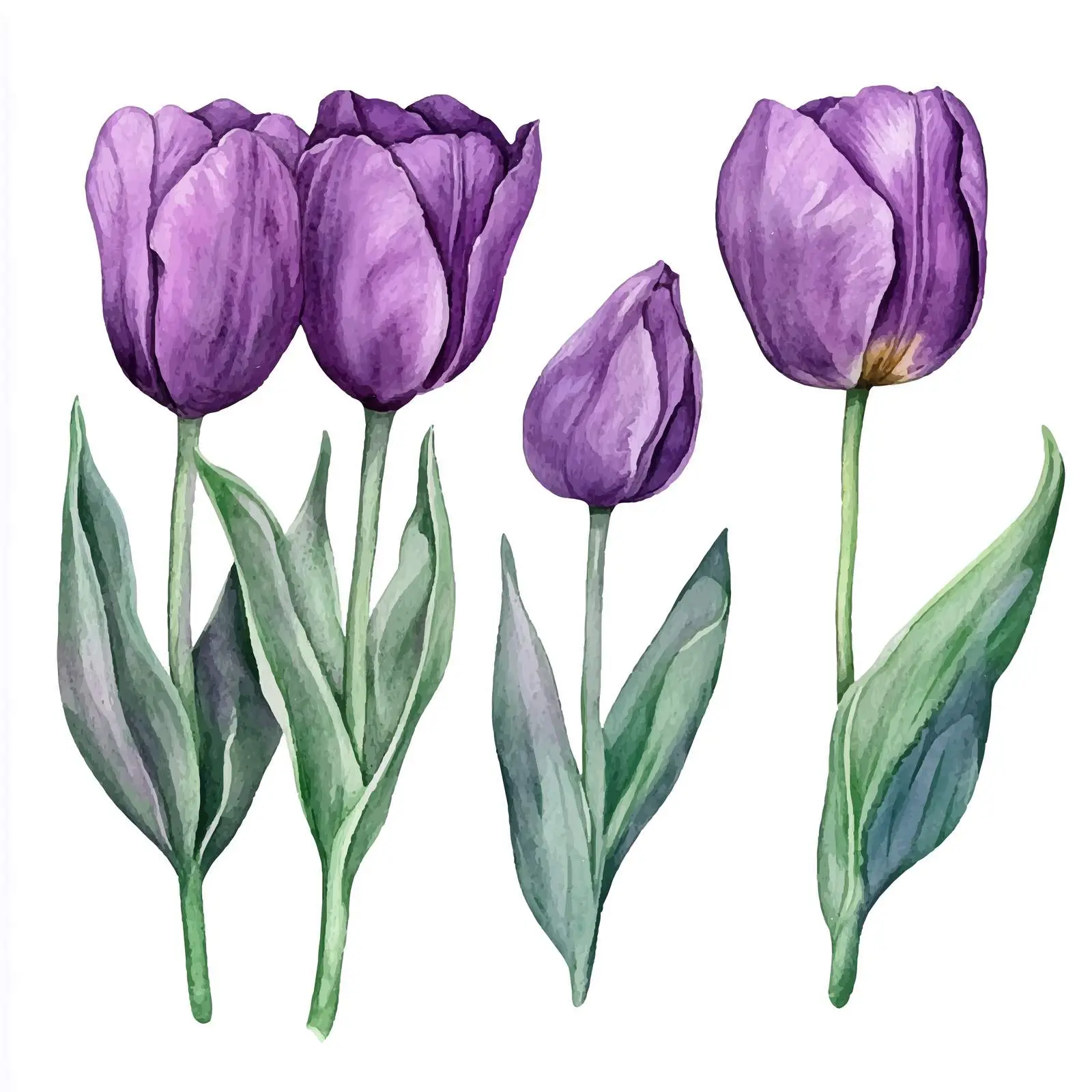 Hand-painted Purple Tulips with Green Leaves — free download from Dotvec