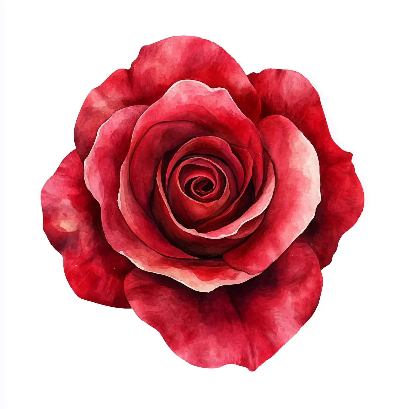 Watercolor Red Rose Clipart for Graphic Design — free download from Dotvec