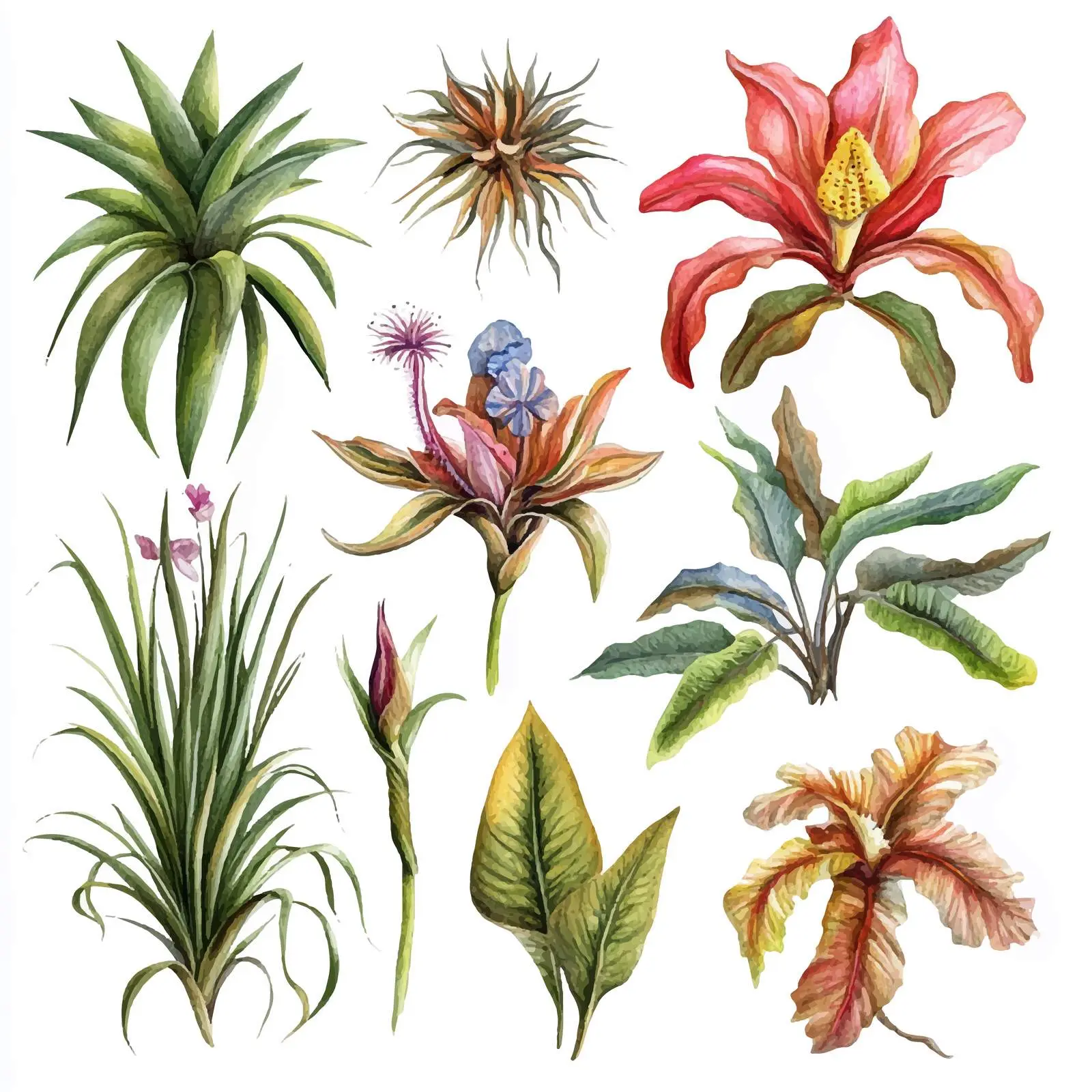 Watercolor Exotic Plants and Their Predators – free plant illustrations image from Dotvec