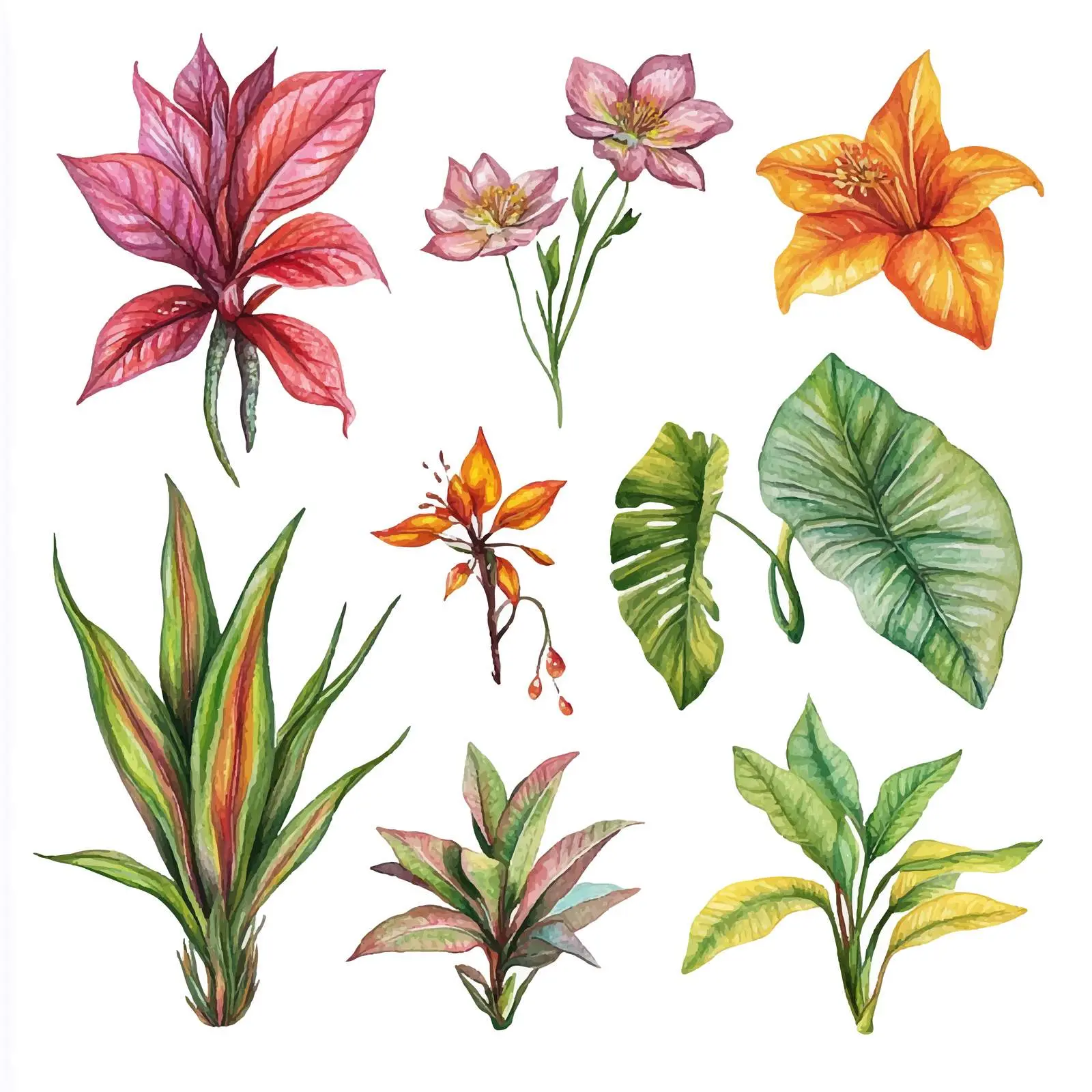 Watercolor Exotic Plants and Predators Illustration – free botanical pattern image from Dotvec