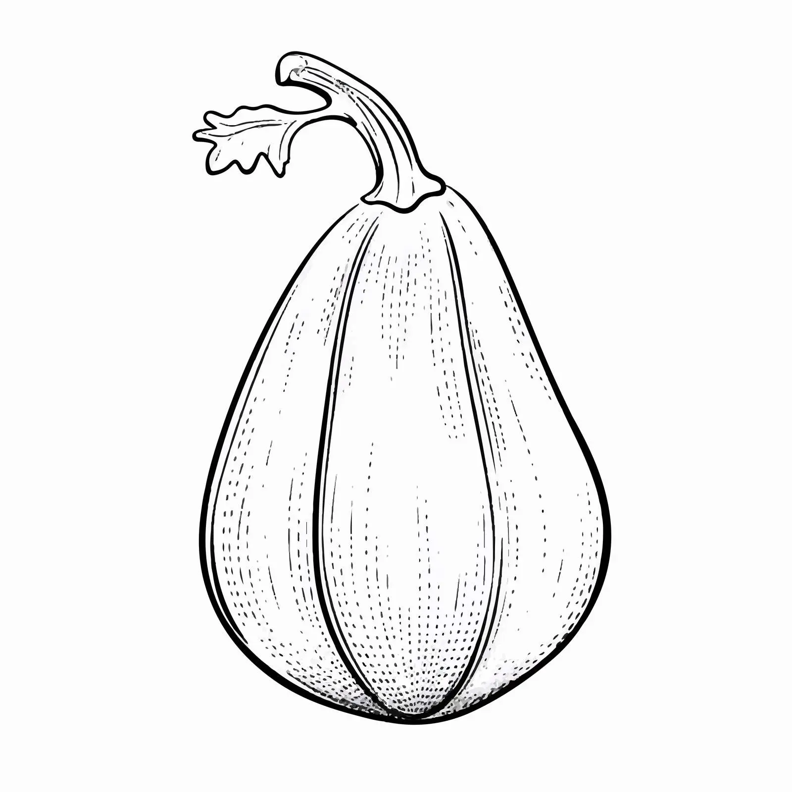 Wax Gourd Outline Vector Illustration — free download from Dotvec